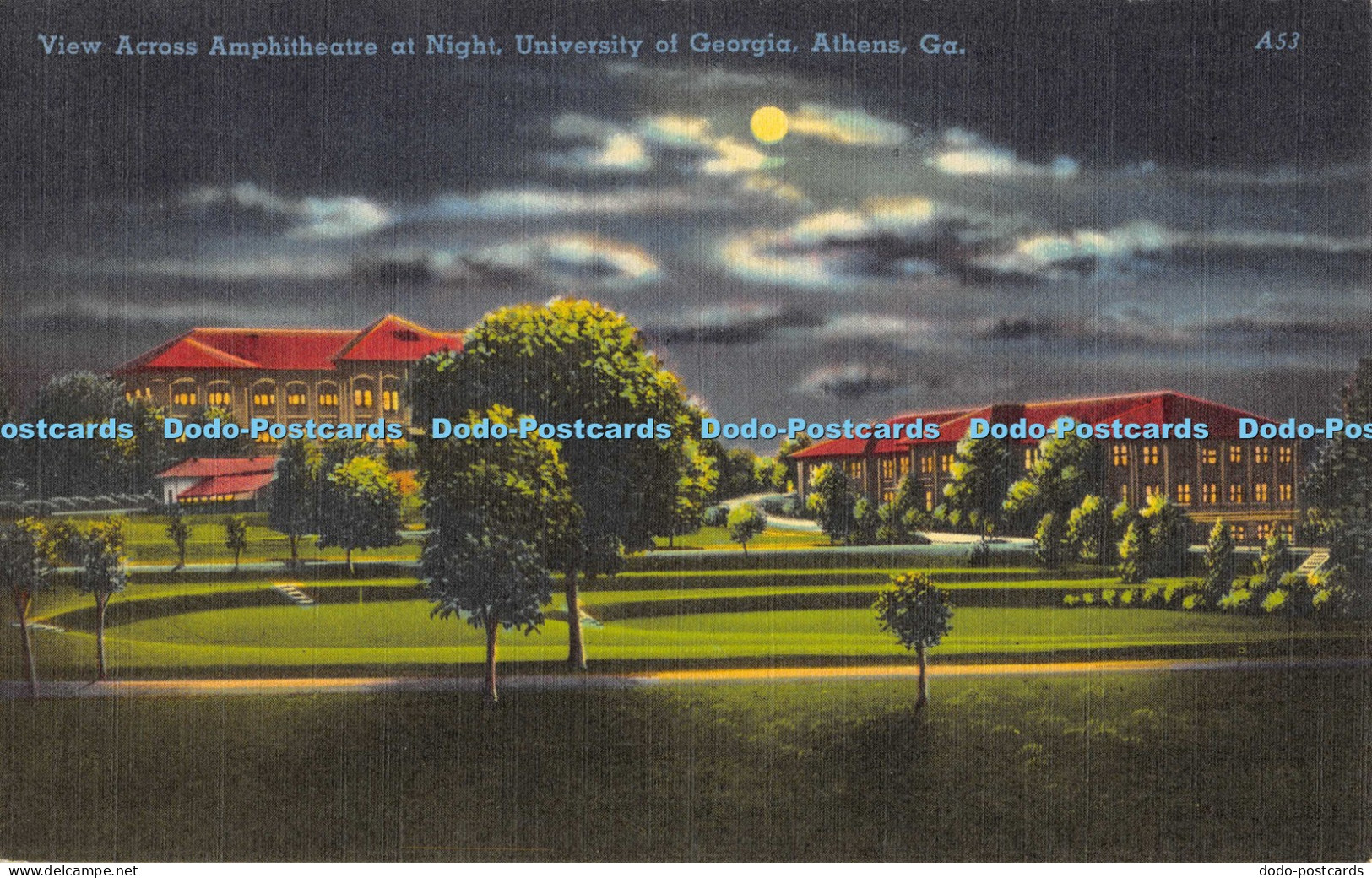 R054328 View Across Amphitheatre at Night University of Georgia Athens Ga