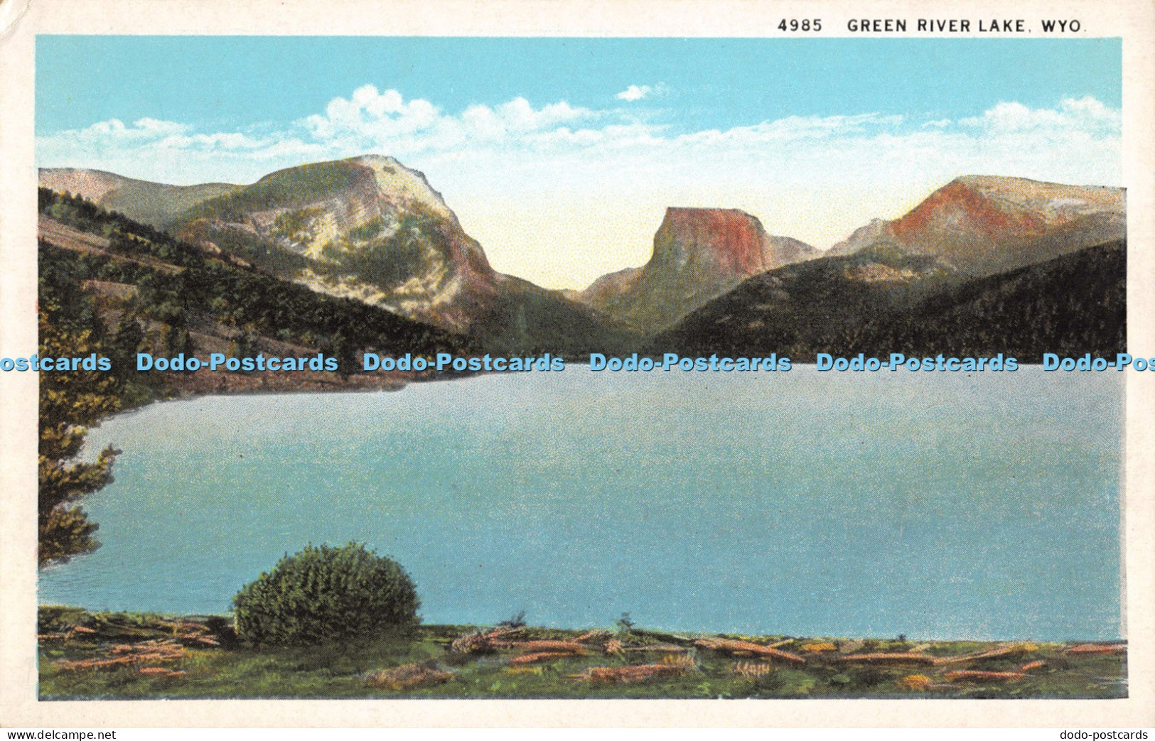 R054375 Green River Lake Wyo Robins