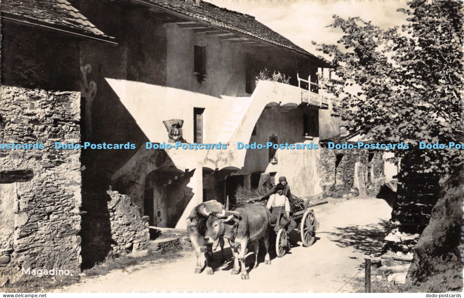 R054736 Magadino Max Kunzli
