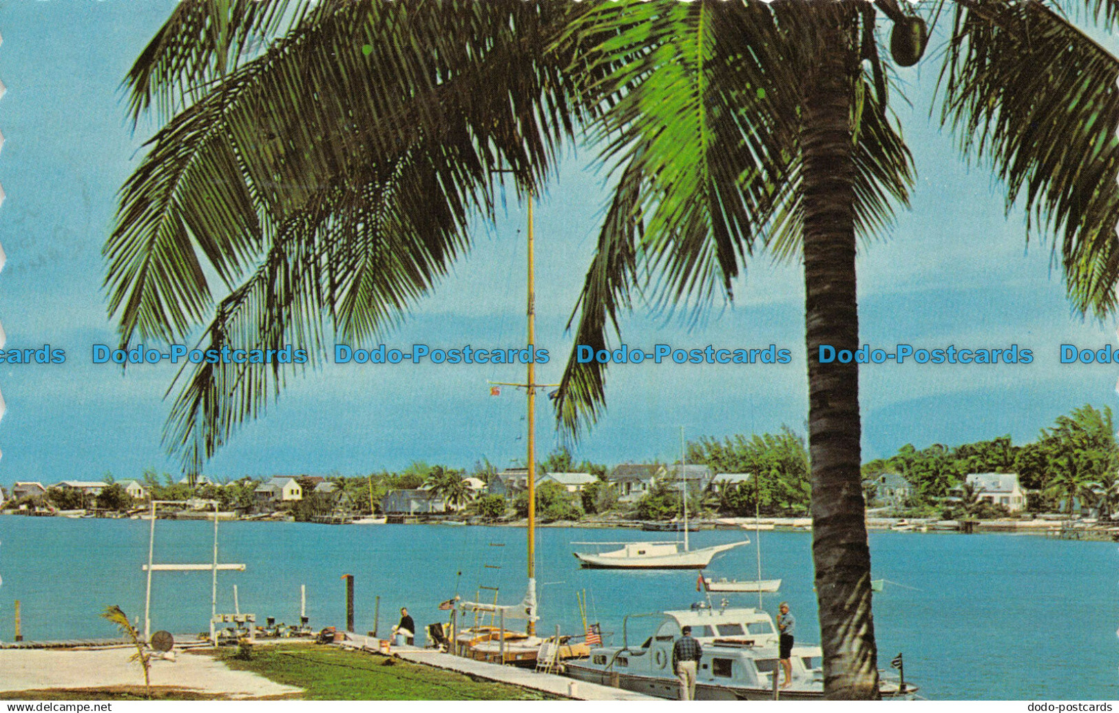 R066698 The Bahama Islands. Dexter. 1966
