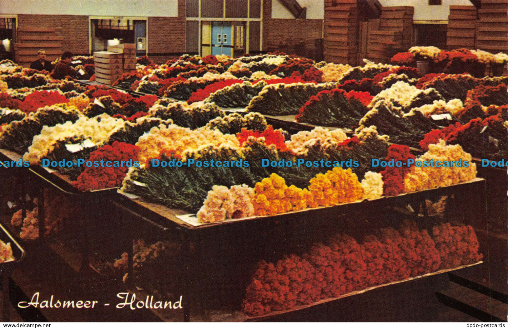 R068848 Aalsmeer. Holland