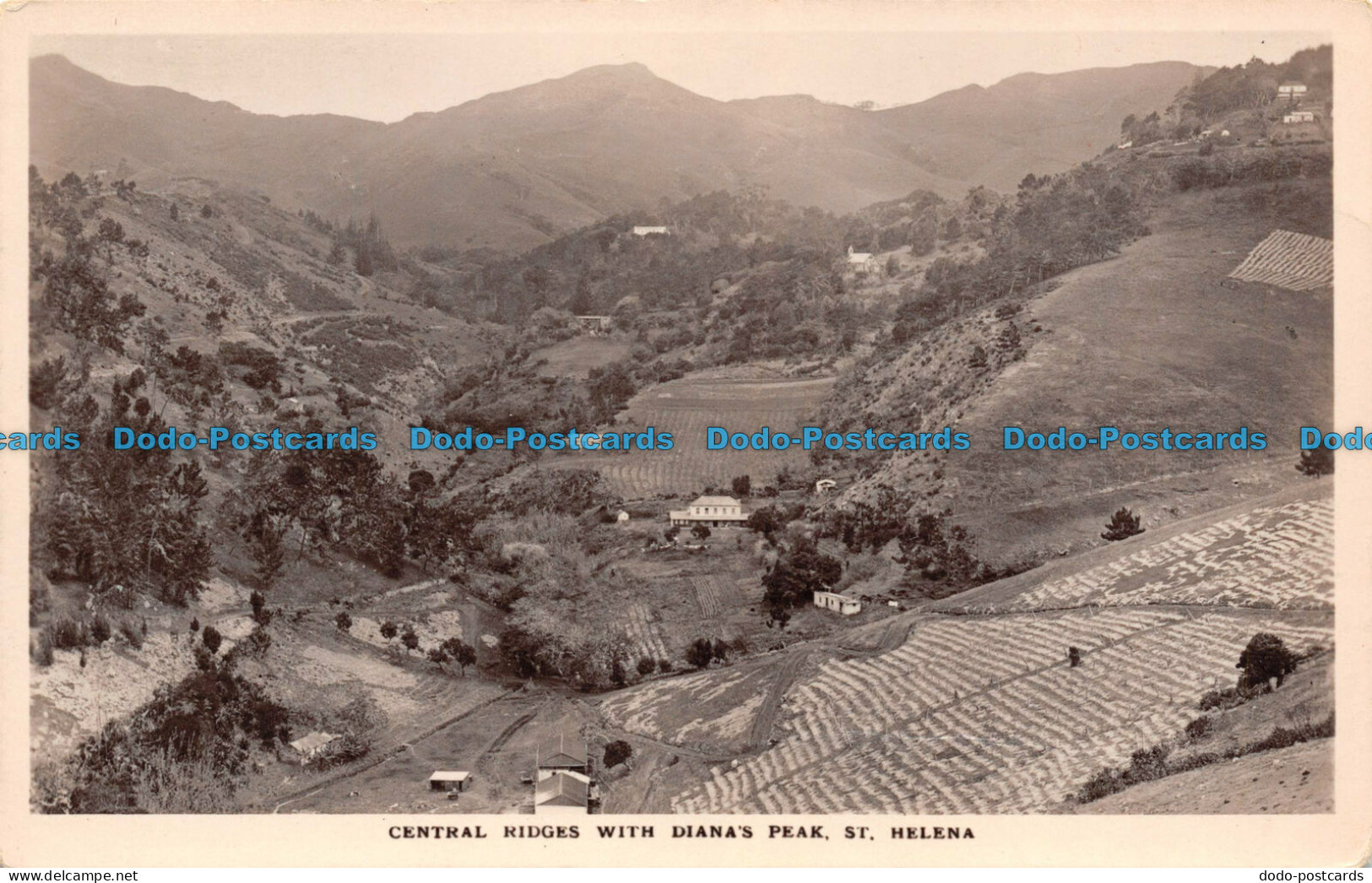 R140299 Central Ridges with Dianas Peak. St. Helena. Bill Hopkins Collection