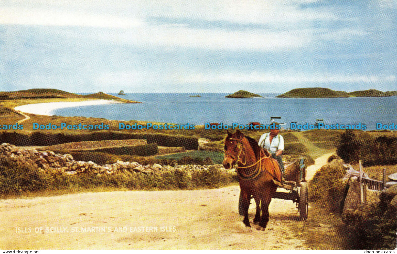 R151299 Isles of Scilly. St. martins and Eastern Isles. Salmon