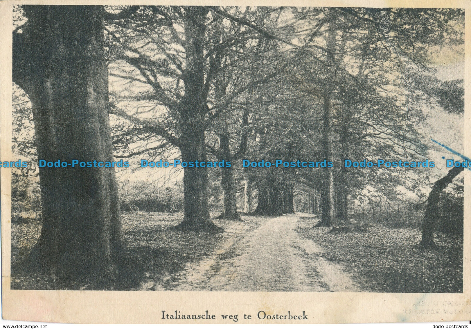 R158883 Italiaansche weg te Oosterbeek