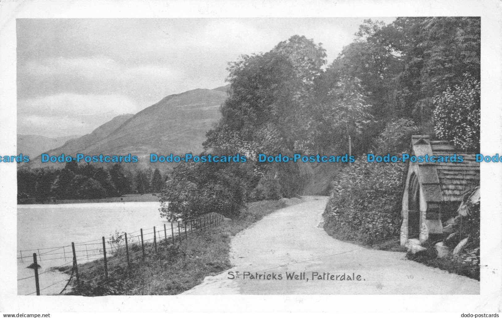 R158912 St. Patricks Well. Patterdale. Reeds Raven