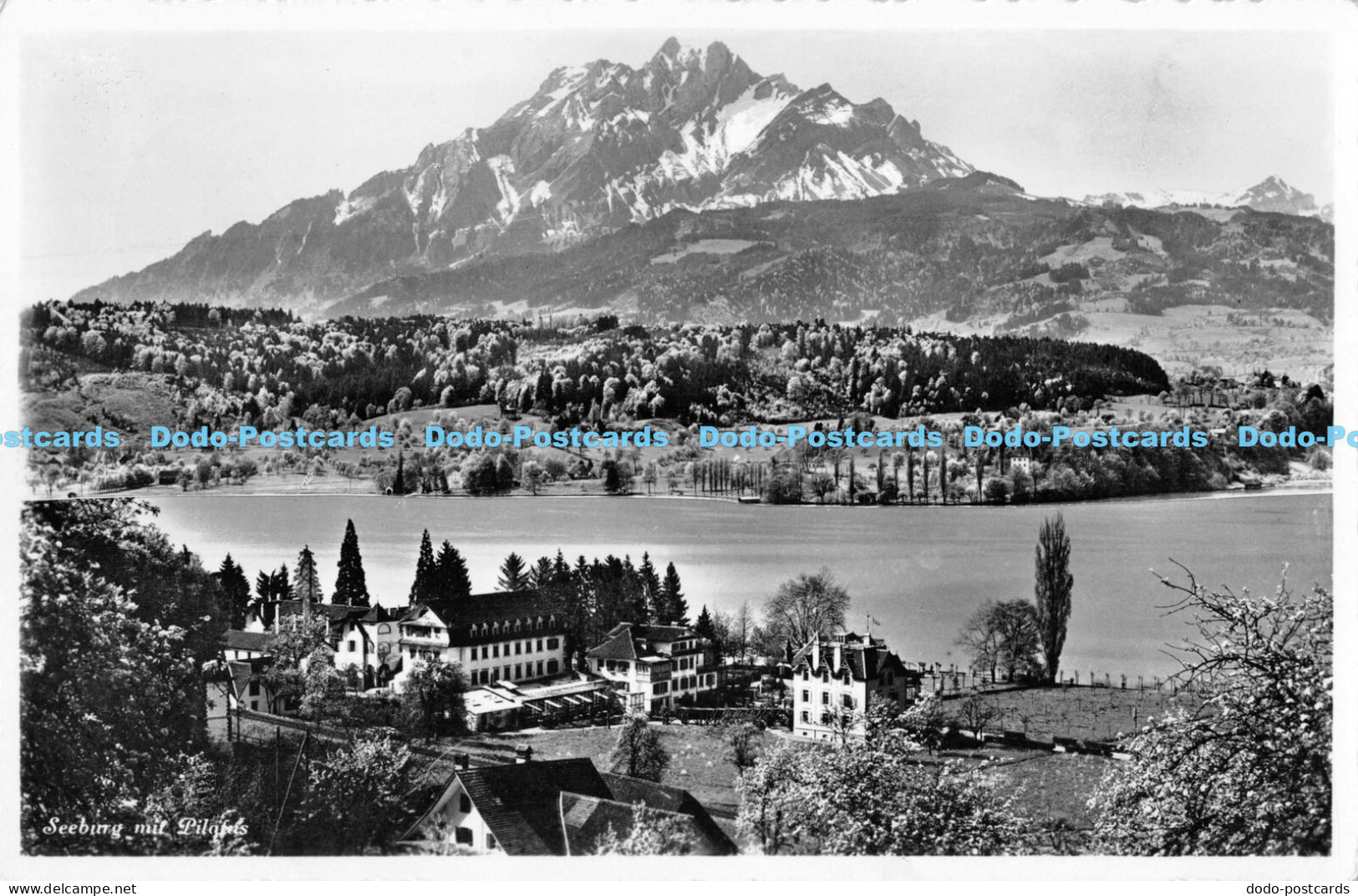 R171235 Seeburg mit Pilatus. E. Goetz