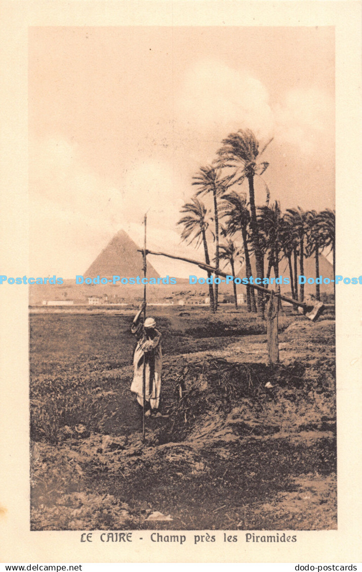 R179134 Le Caire. Champ pres les Piramides