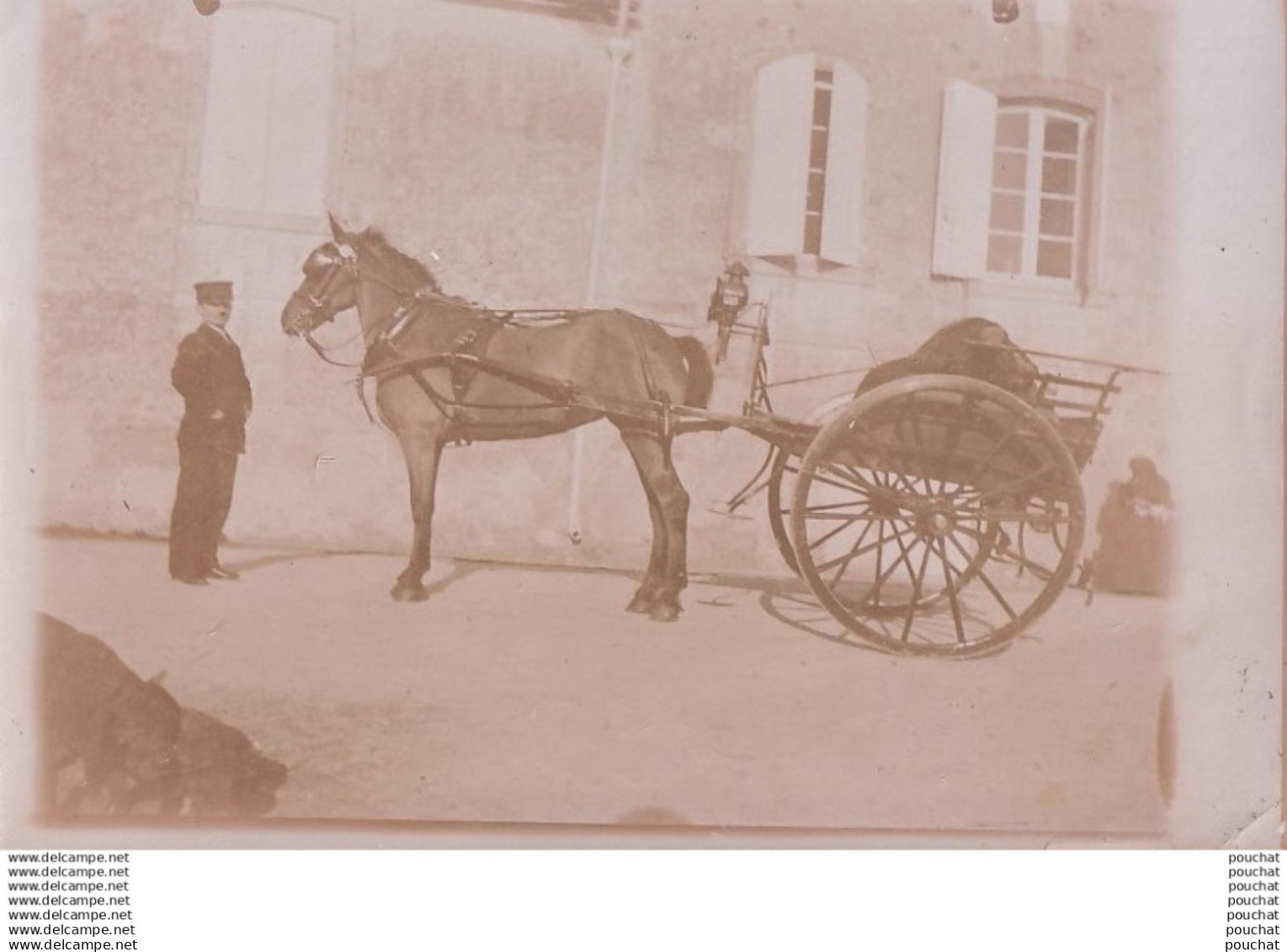R18-47) MEILHAN SUR GARONNE - PHOTO -  MAISON CARDONNE- ANIMATION - HABITANTS - ATTELAGE CHEVAL - ( 2 SCANS )