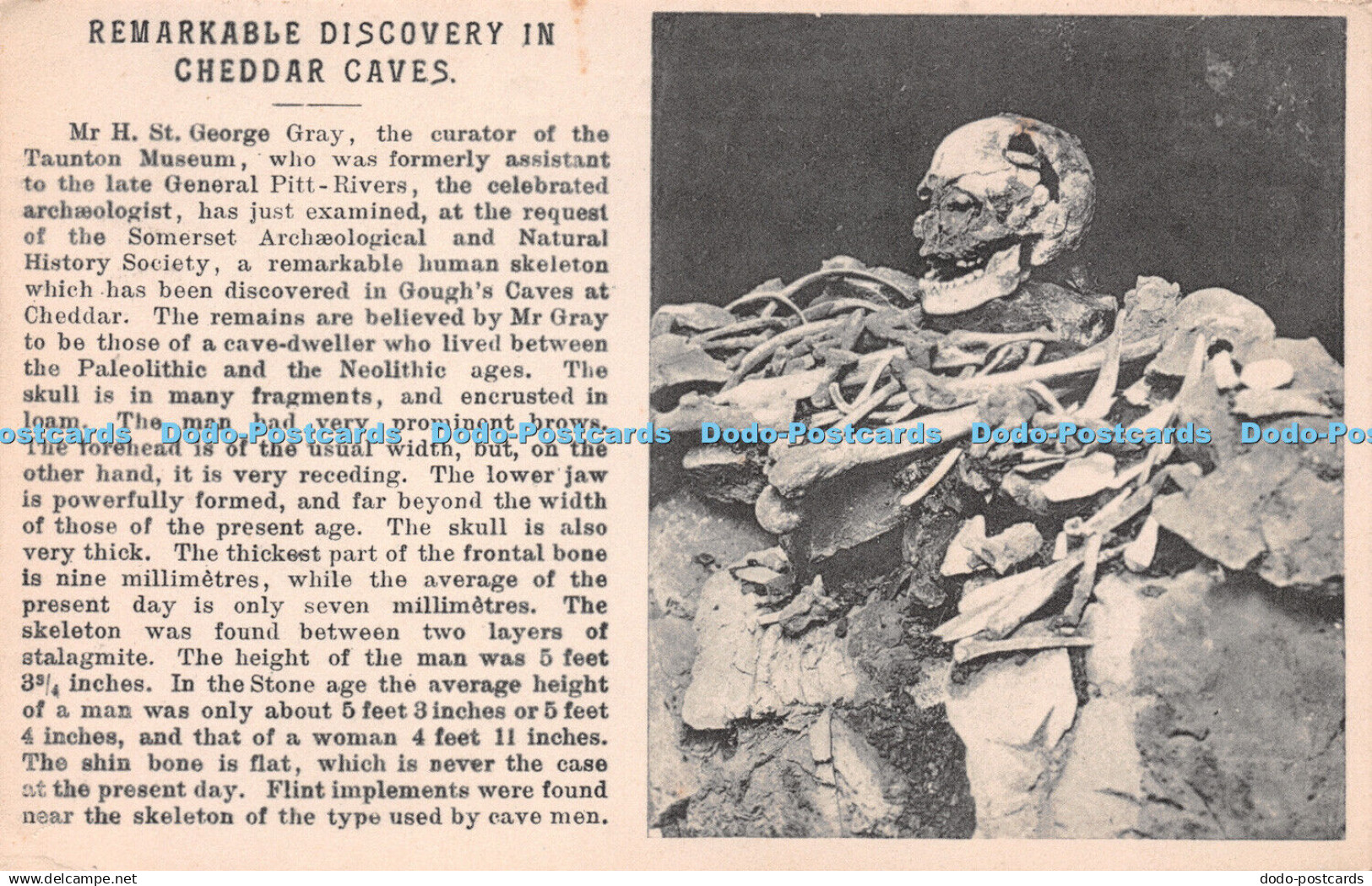 R219286 Remarkable Discovery In Cheddar Caves W Gough Cheddar