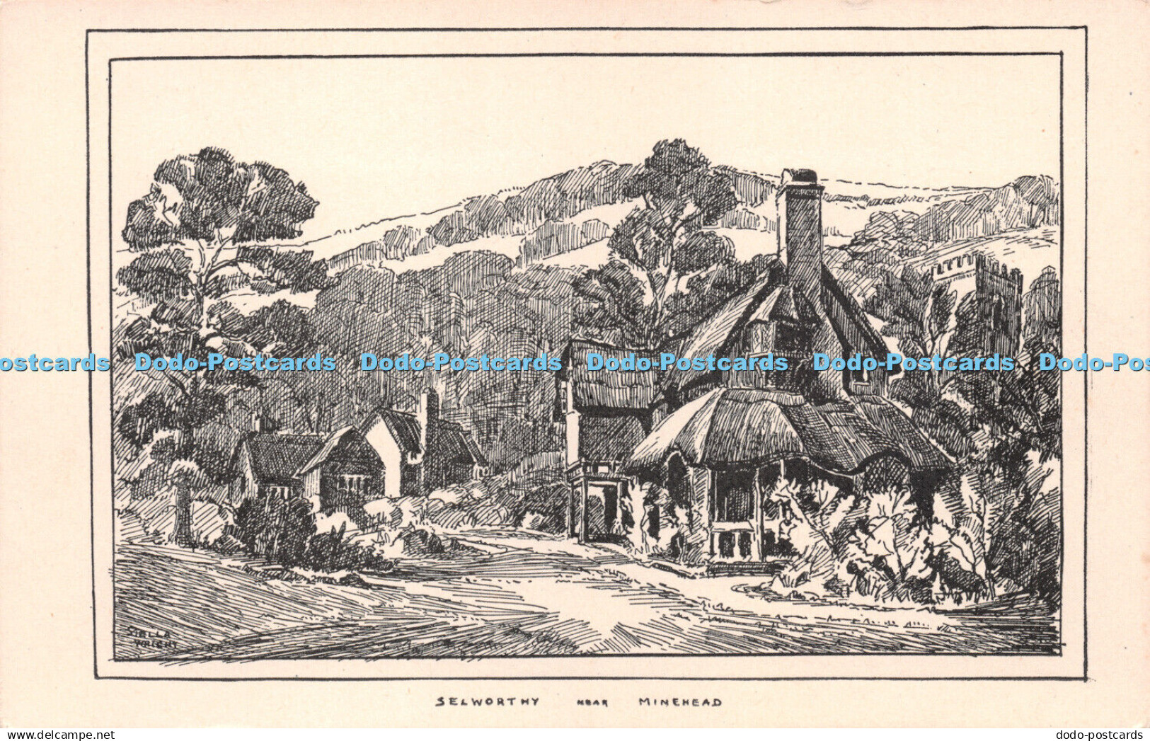 R221780 Selworthy near Minehead