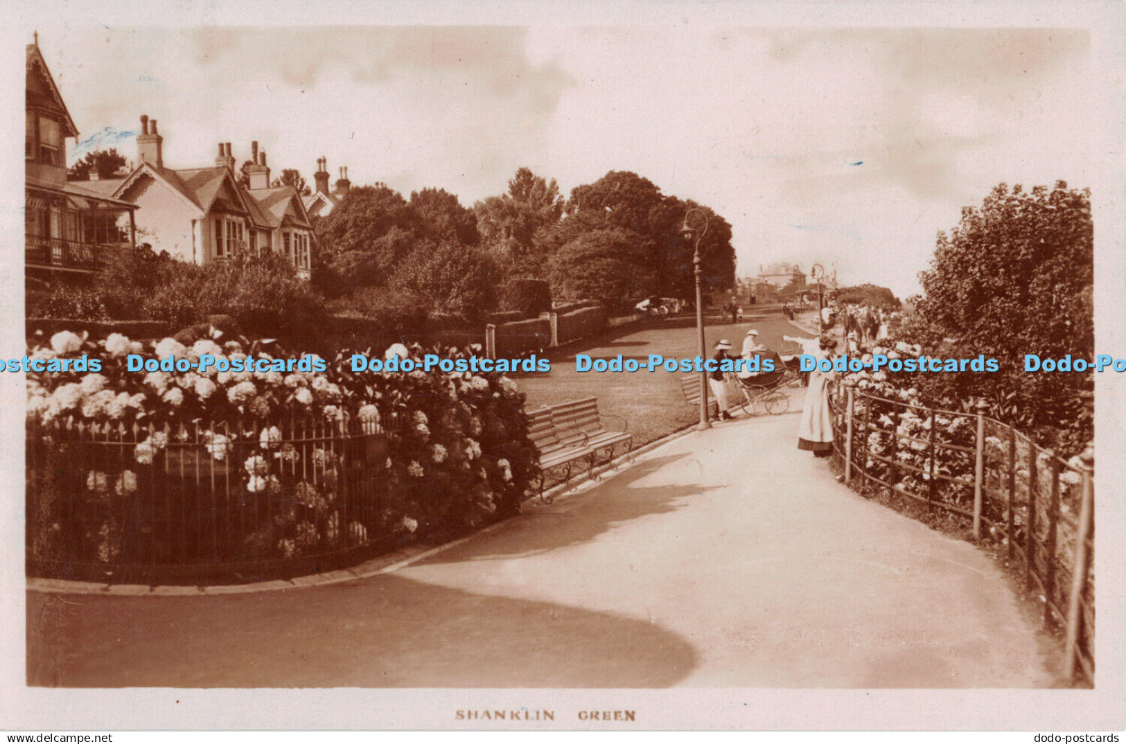 R234637 Shanklin Green