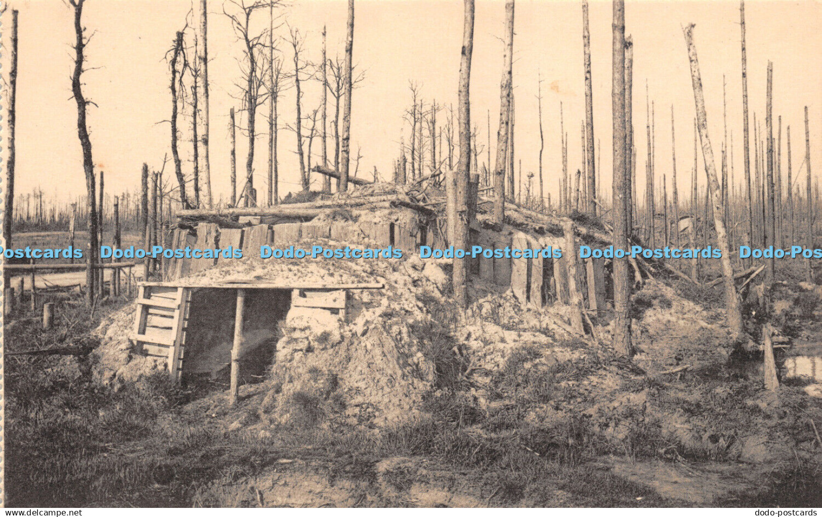 R253666 Ruines de la Foret dHouthulst The ruins of the Houthulst Forest Abri She