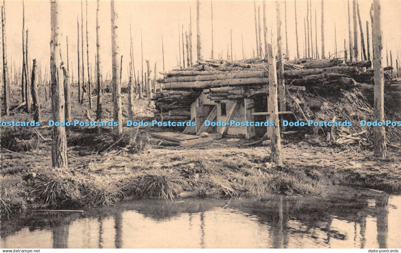 R257075 Ruines de la Foret dHouthulst The ruins of the Houthulst Forest 1914 18