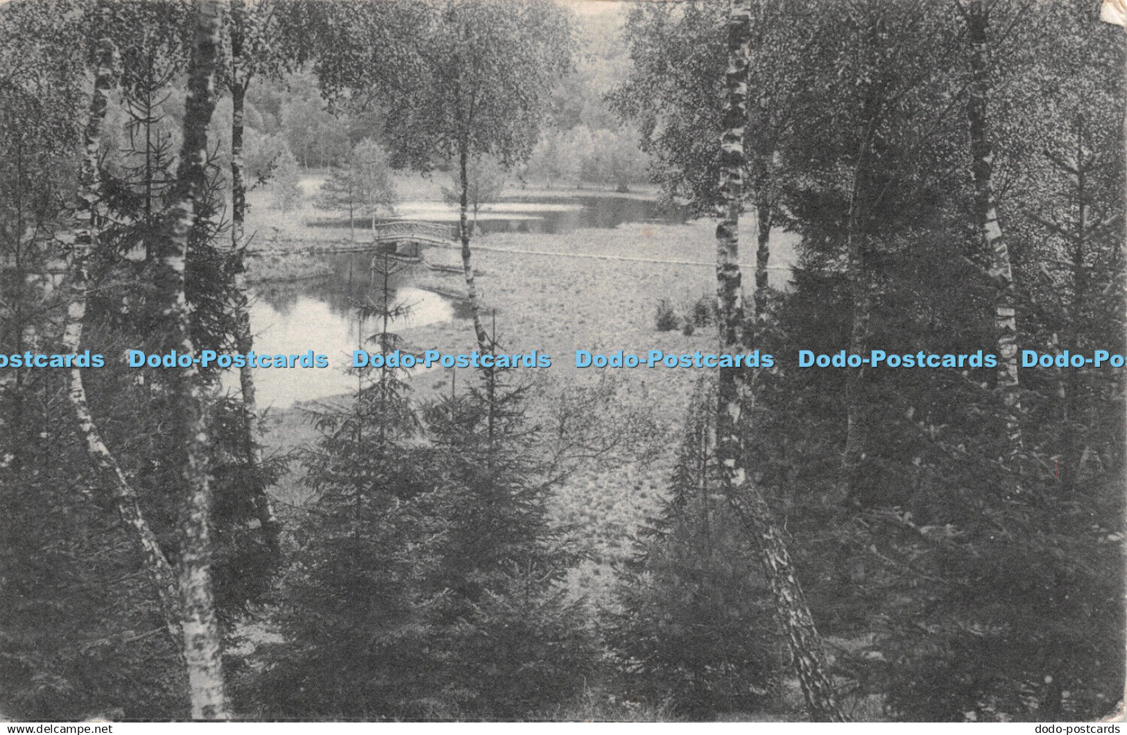 R266216 Forest View Molln i L Partle im grundlosen Kolk Johns Biehl Molln i L 19