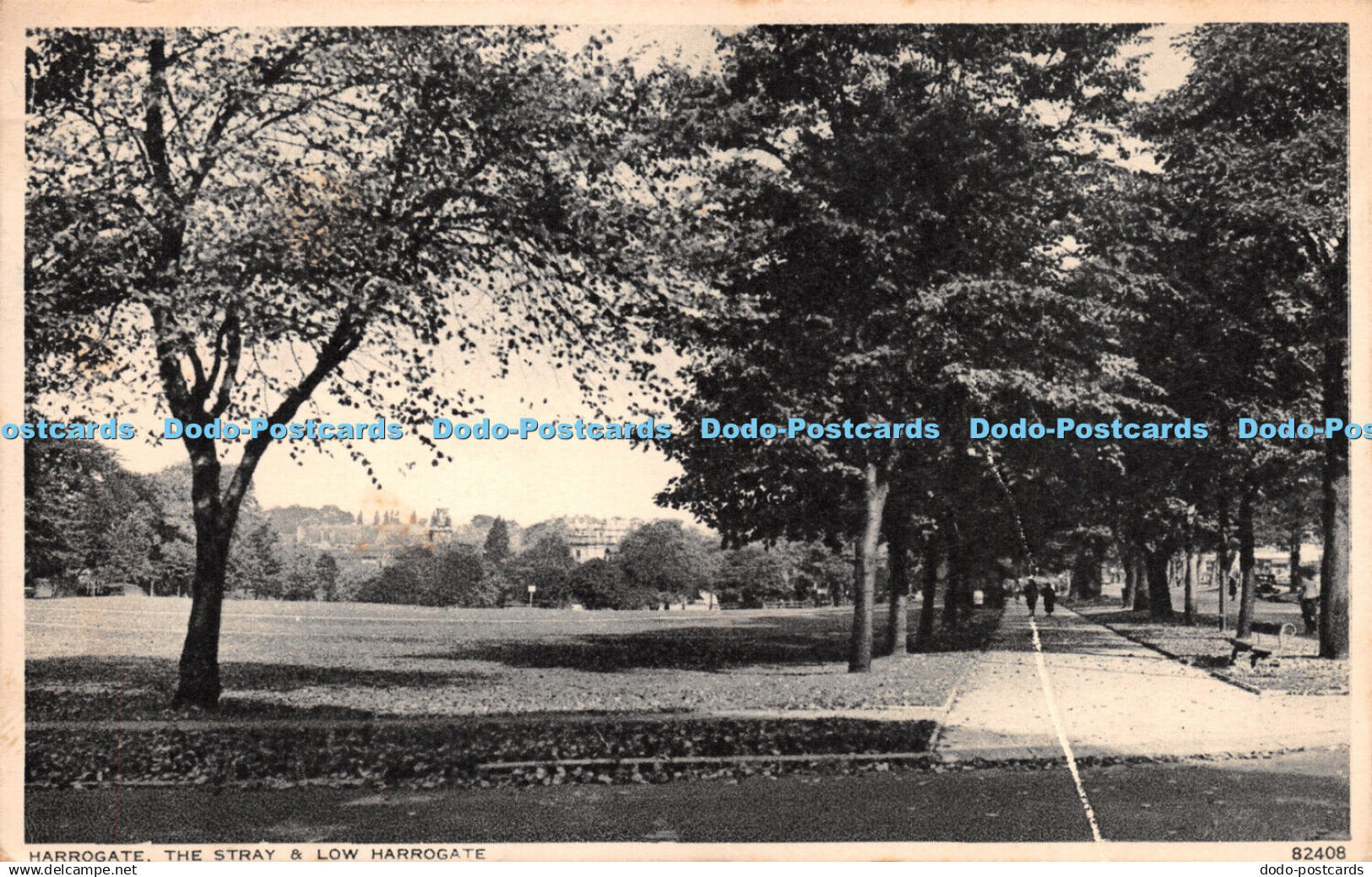 R271810 Harrogate The Stray and Low Harrogate 82408 Photochrom 1944