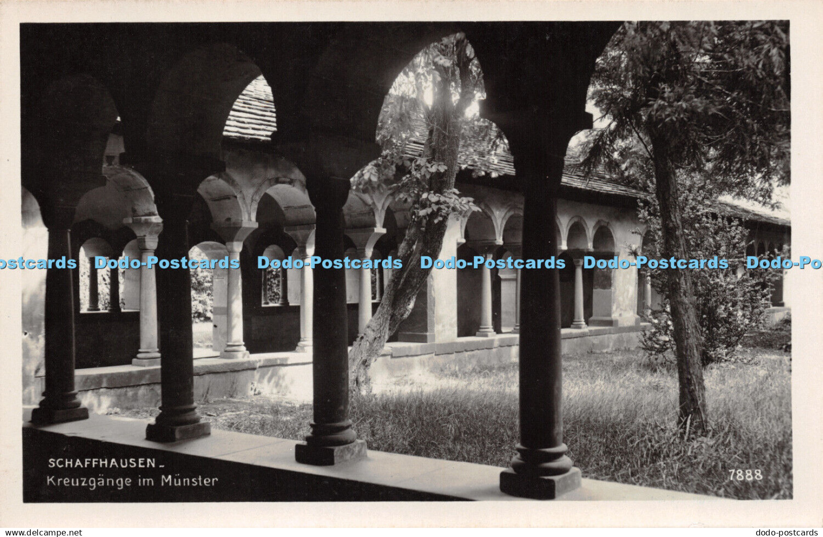 R281517 Schaffhausen Kreuzgange im Munster 7888 A Ruegg Wallisellen