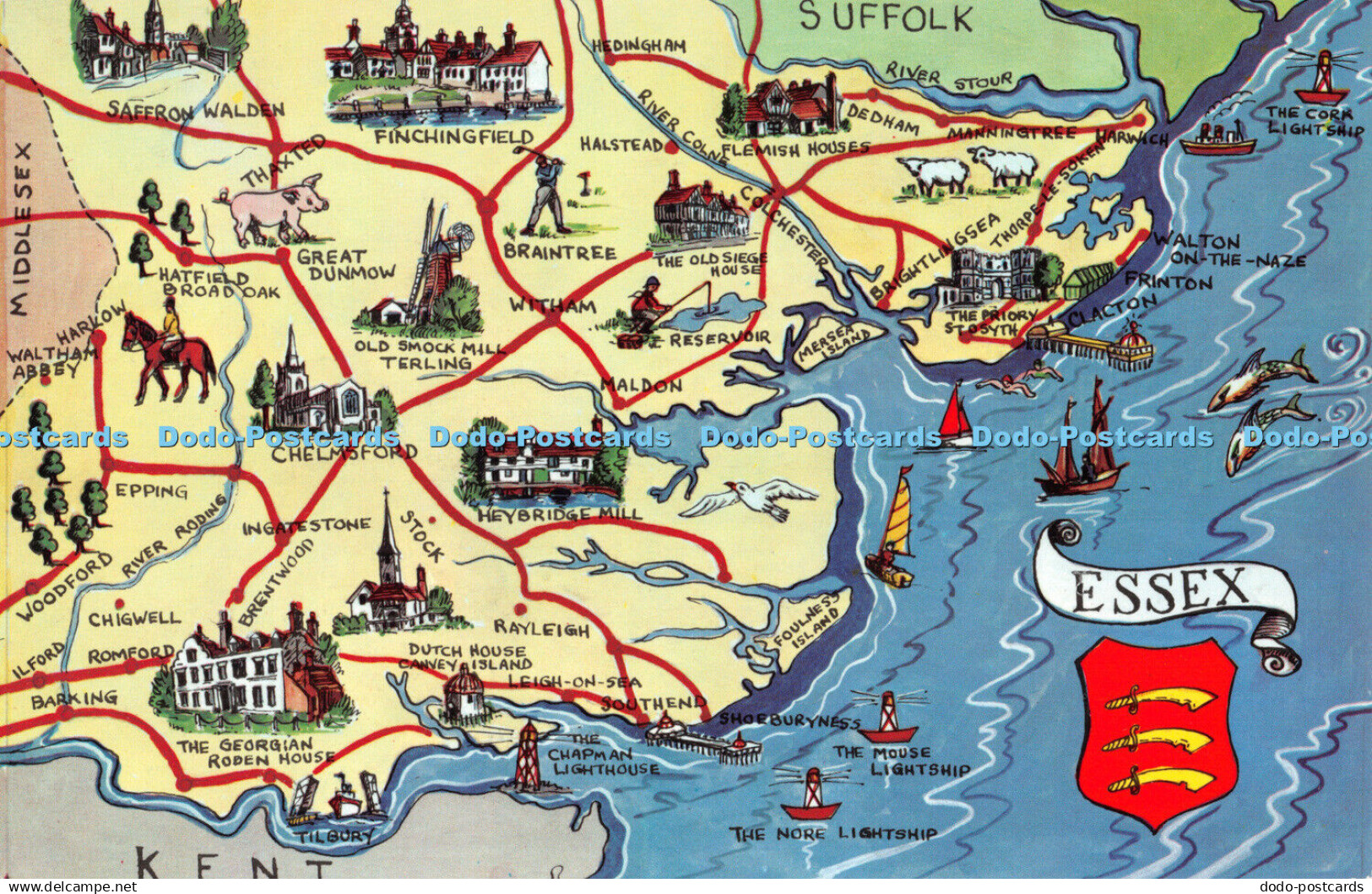 R292230 Essex Suffolk Kent Middlesex Postcard