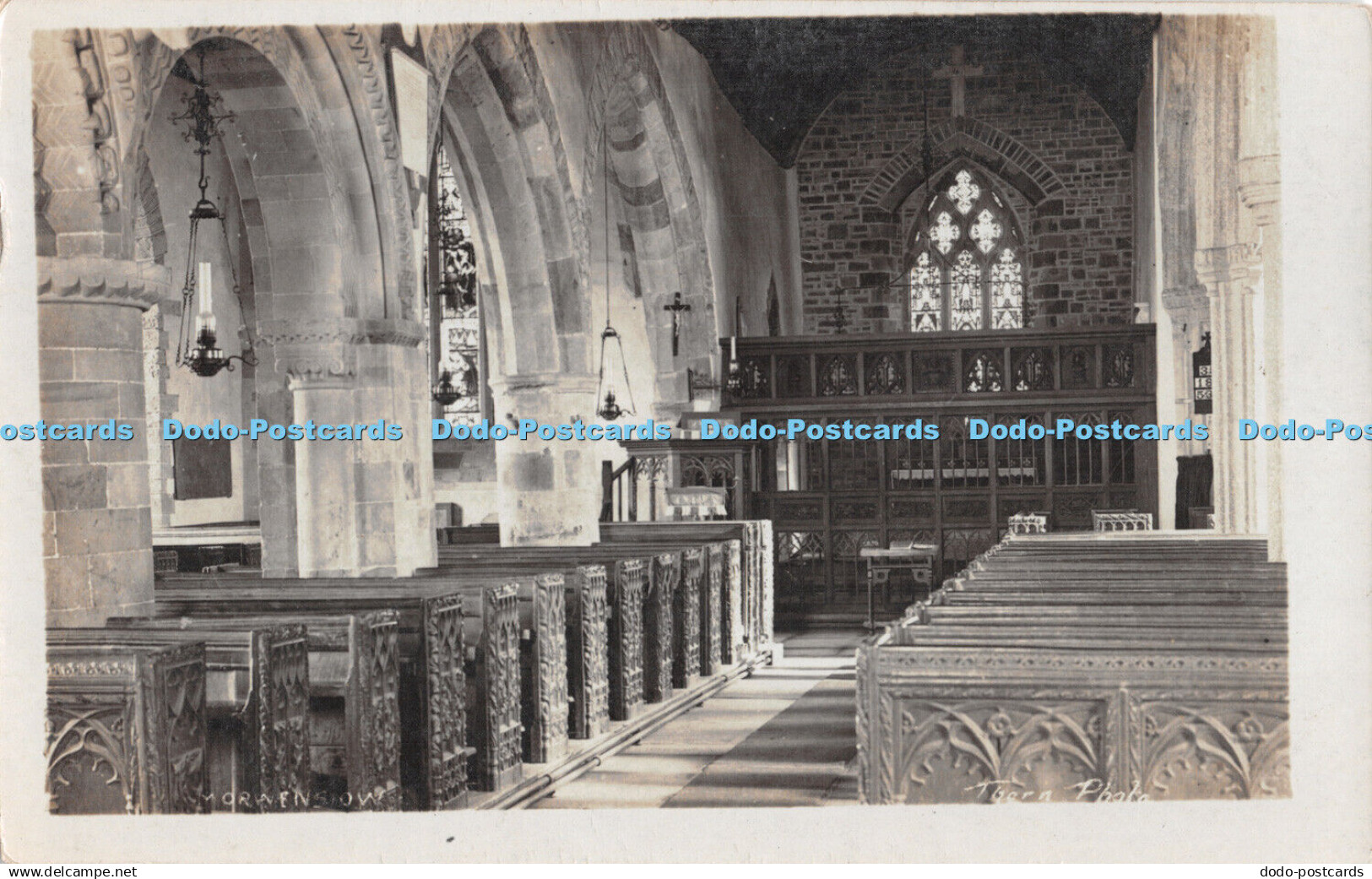 R298154 Morwenstow Thorn Photo