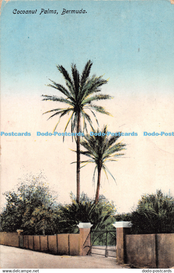 R299821 Bermuda Coconut Palms Yankee Store and Bermuda Drug No 4