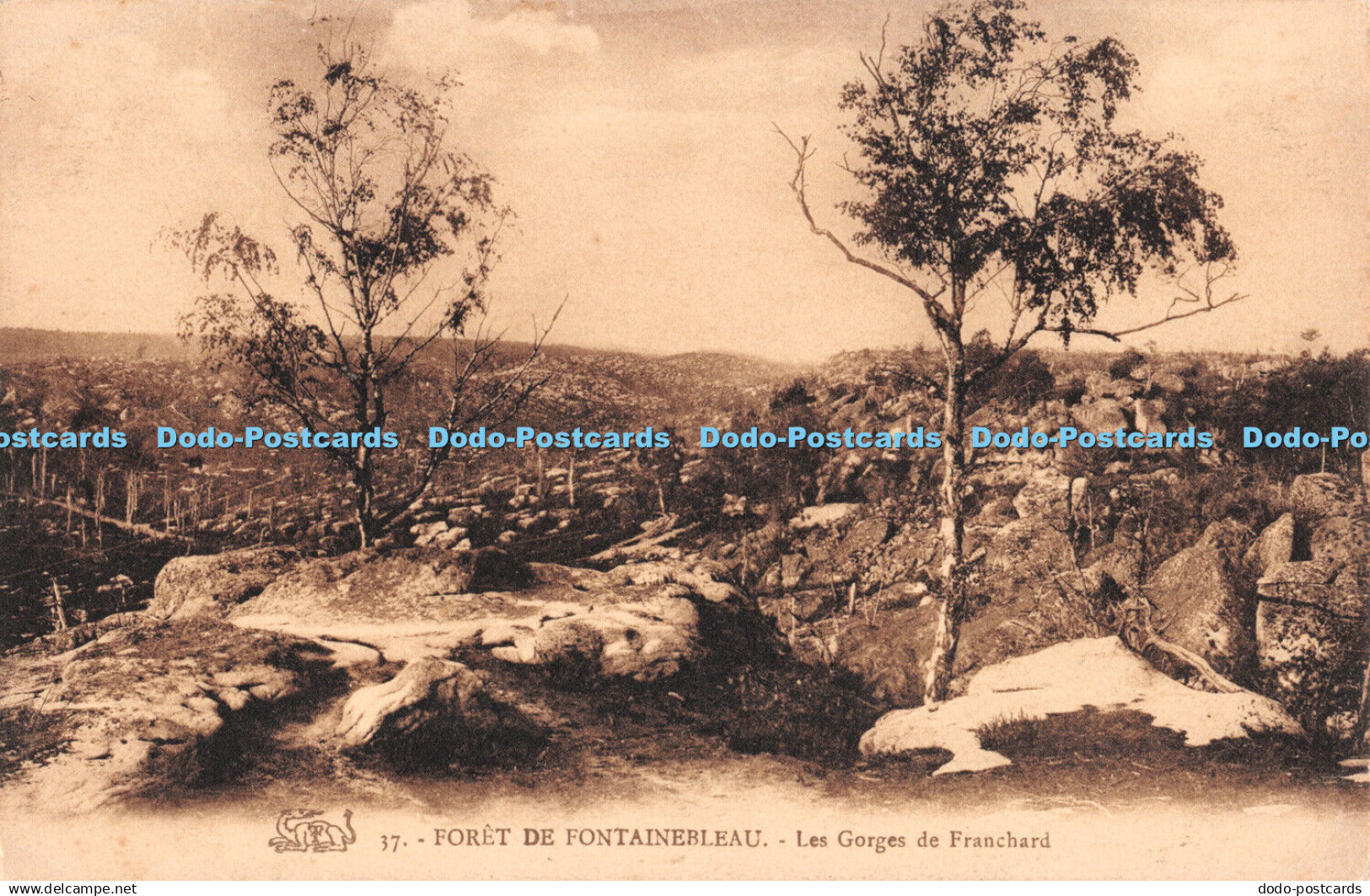 R303526 Foret De Fontainebleau 37 Les Gorges de Franchard Thibault Fontainebleau
