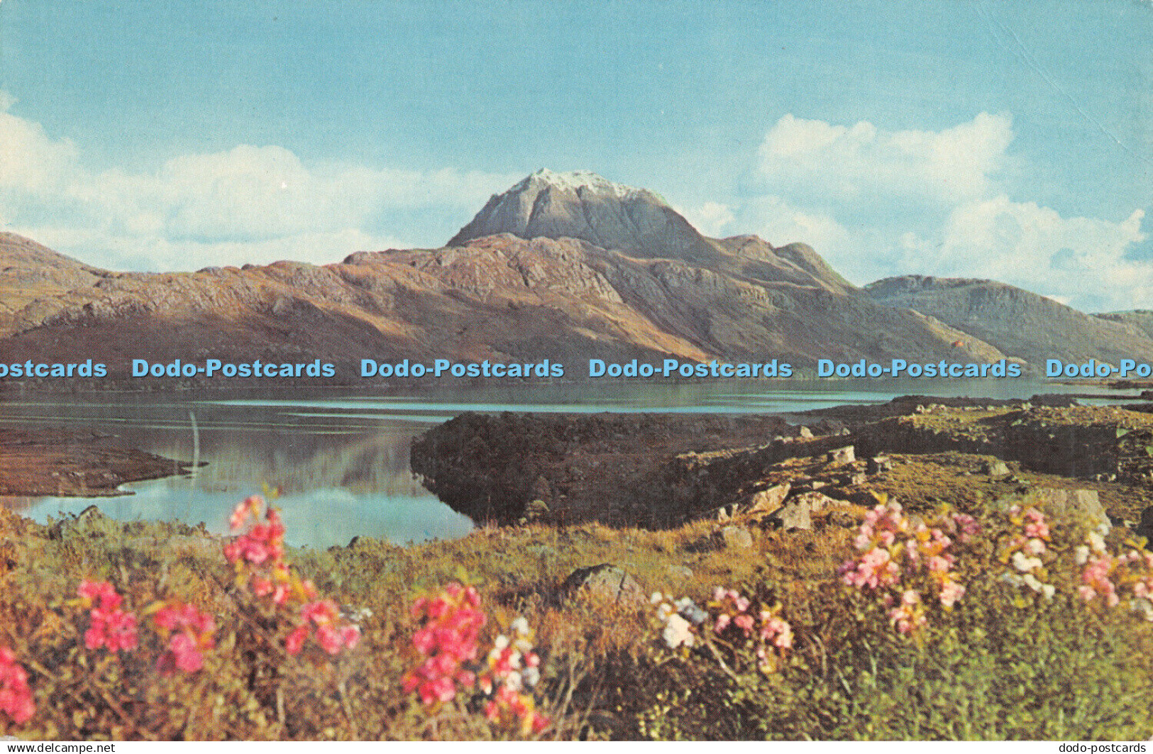 R305629 Scotland Loch Maree Ross and Cromarty N P O Fotocolor Belfast