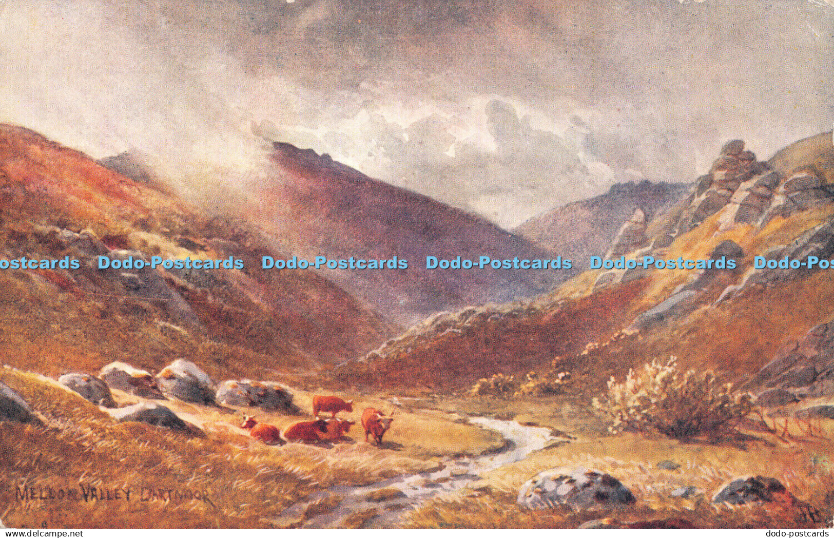 R314159 Mellon Valley Dartmoor The Dartmoor Series Jackson and Morrish J Barrett