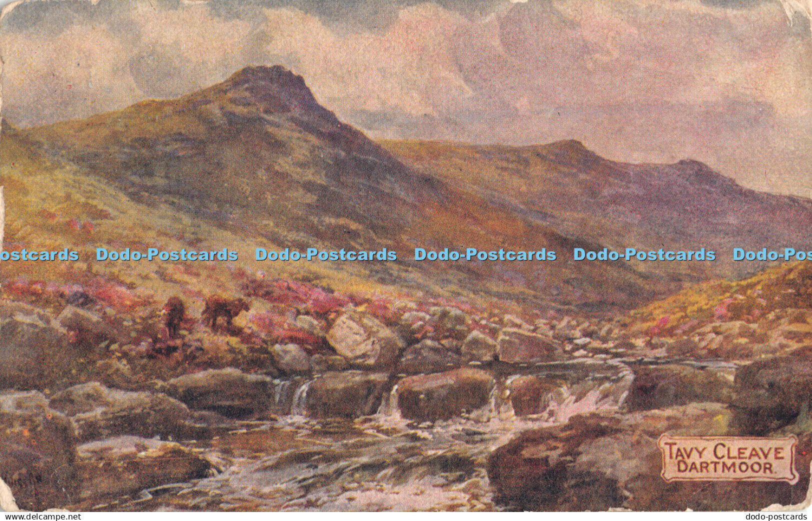 R314946 Tavy Cleave Dartmoor Dartmoor Series Photochrom