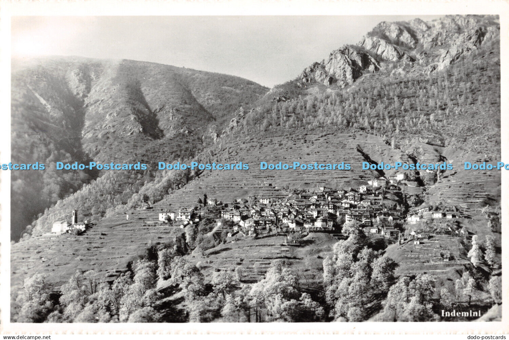 R315057 Indemini W Tannaz Postcard