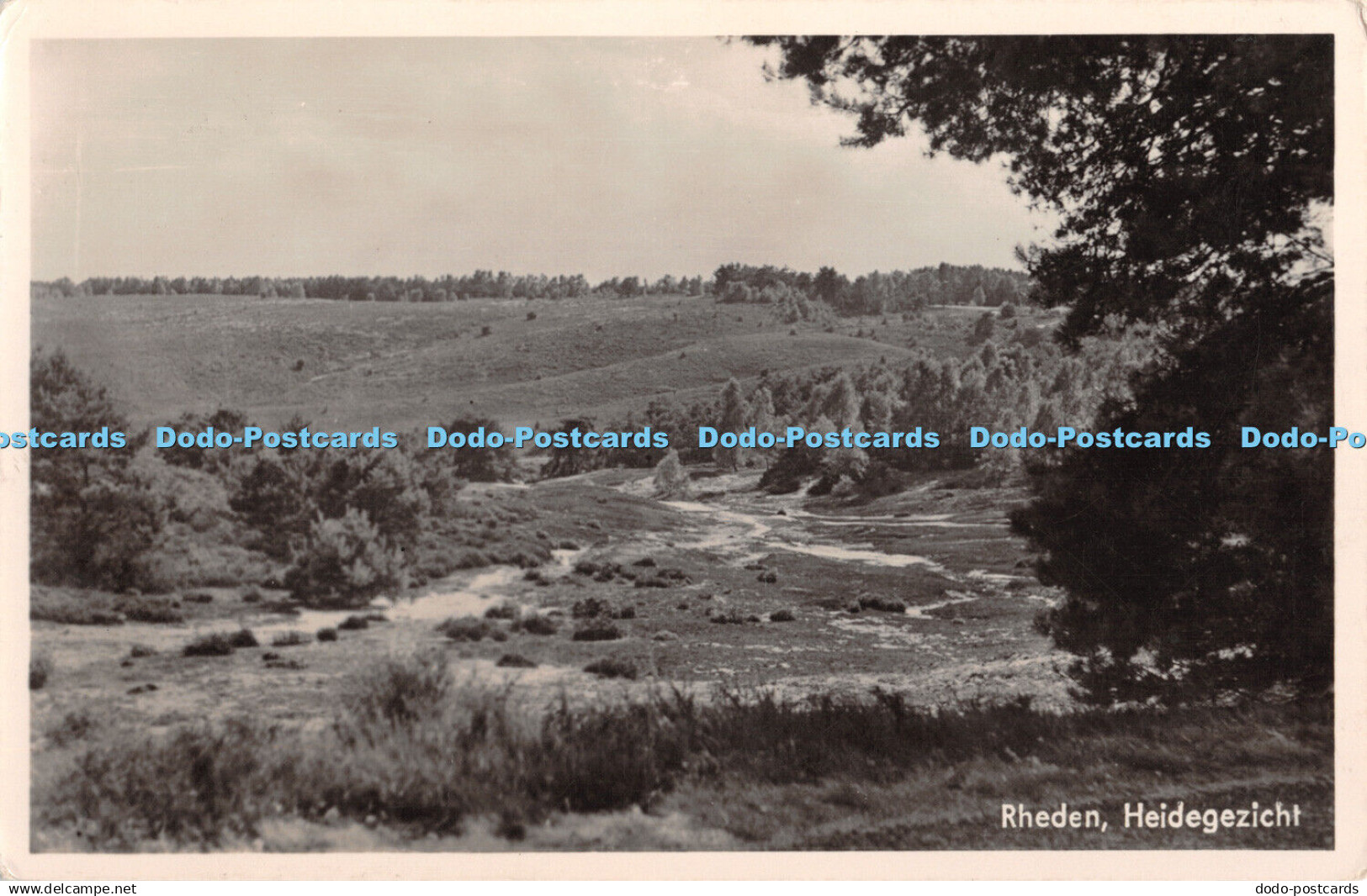 R326534 Rheden Heidegezicht A Berger and Zn Jospe Arnhem RP