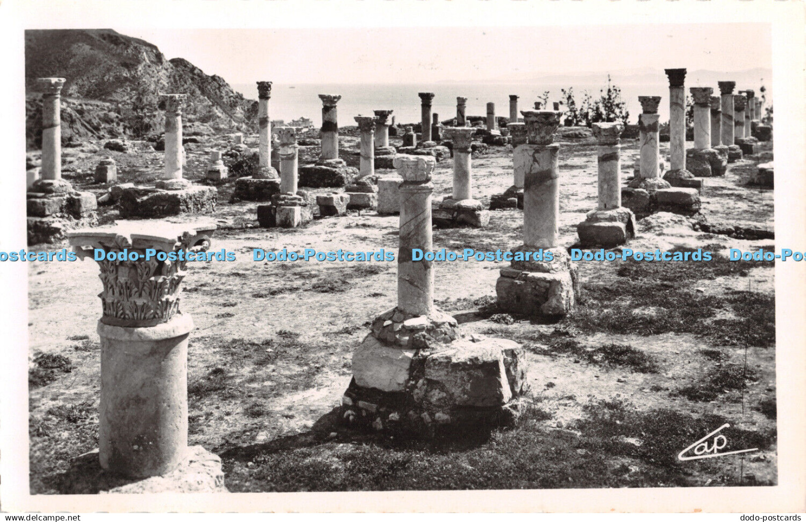 R330037 Carthage Basilique de Saint Cyprien C A P RP