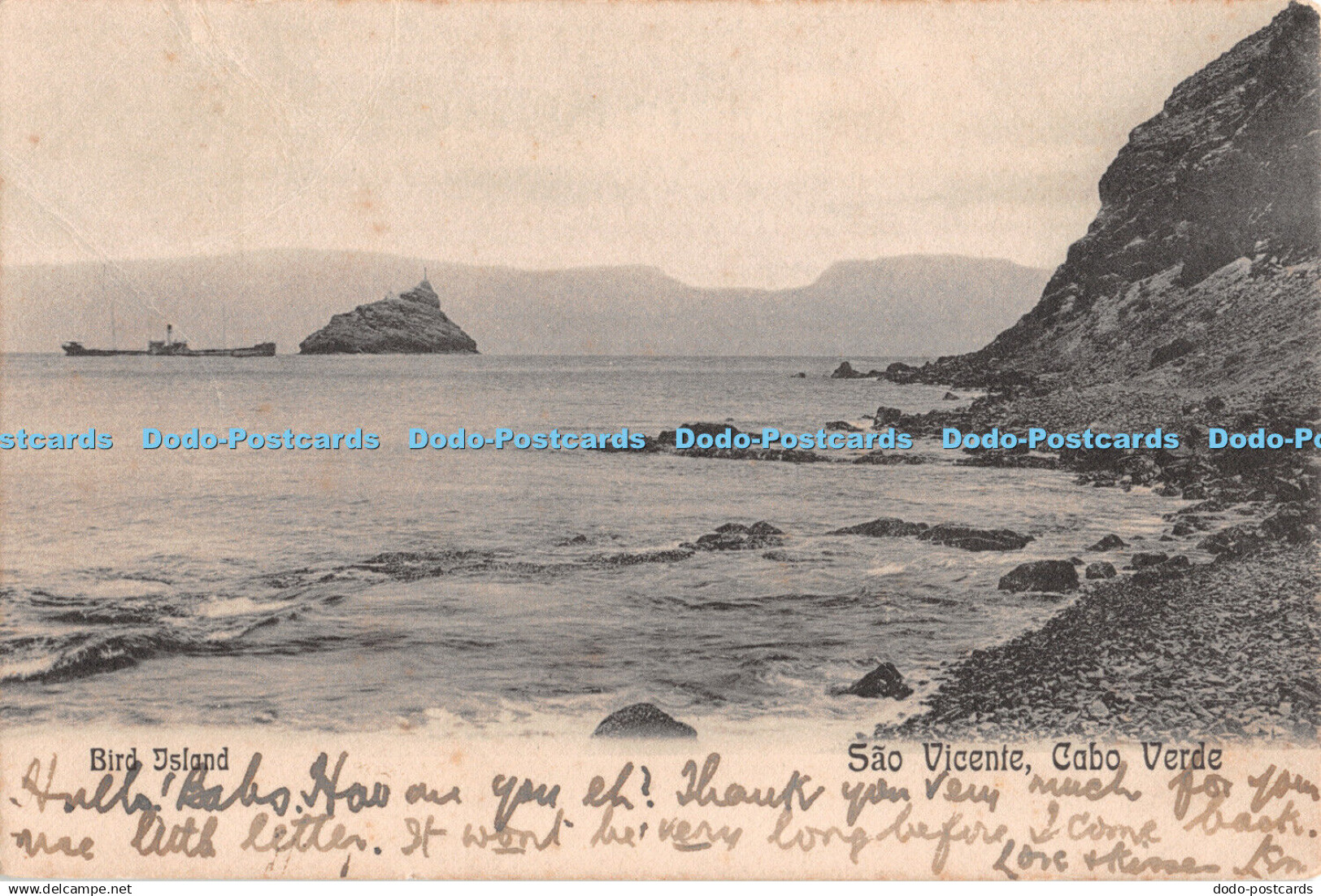 R347039 Sao Vicente Cabo Verde Bird Island 1905