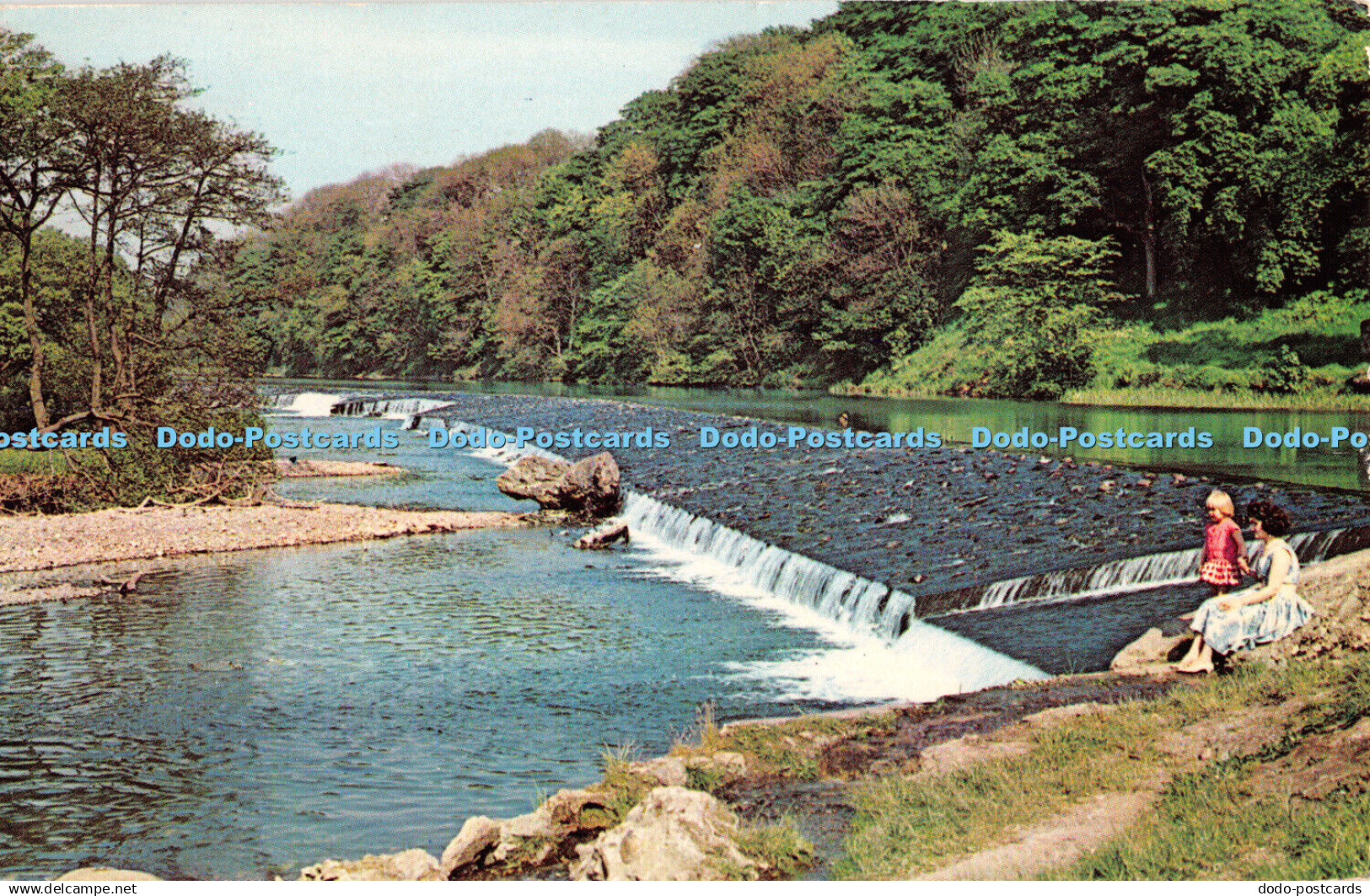 R348340 Workington The Yearl Mill Field Sanderson and Dixon Plastichrome by Colo