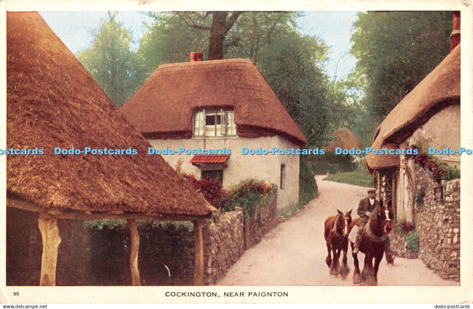 R365689 CockingtonNear Paignton Postcard