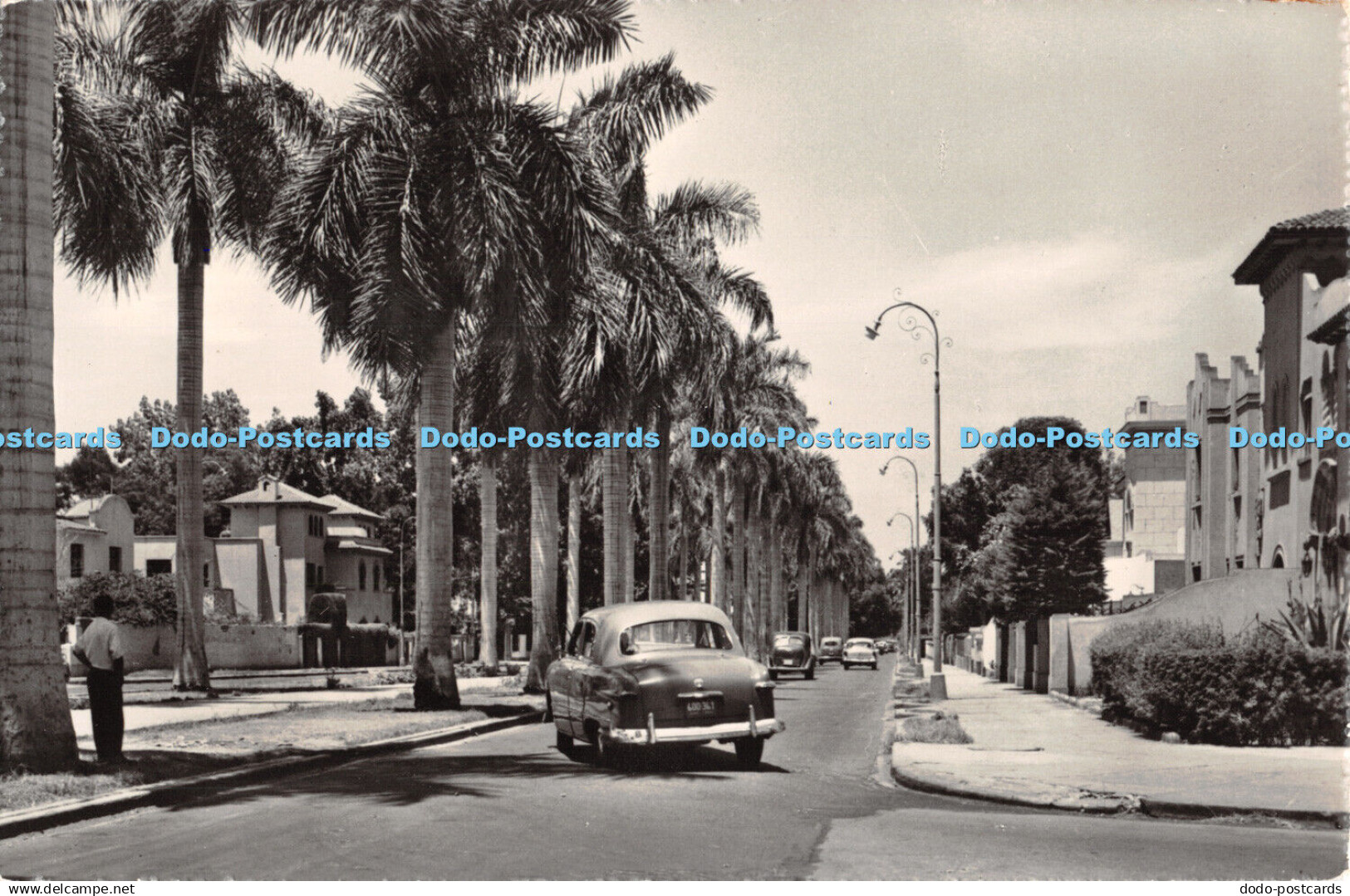 R385572 Lima Peru Arequipa Avenue While in Peru fly with Faucett Airlines Swiss