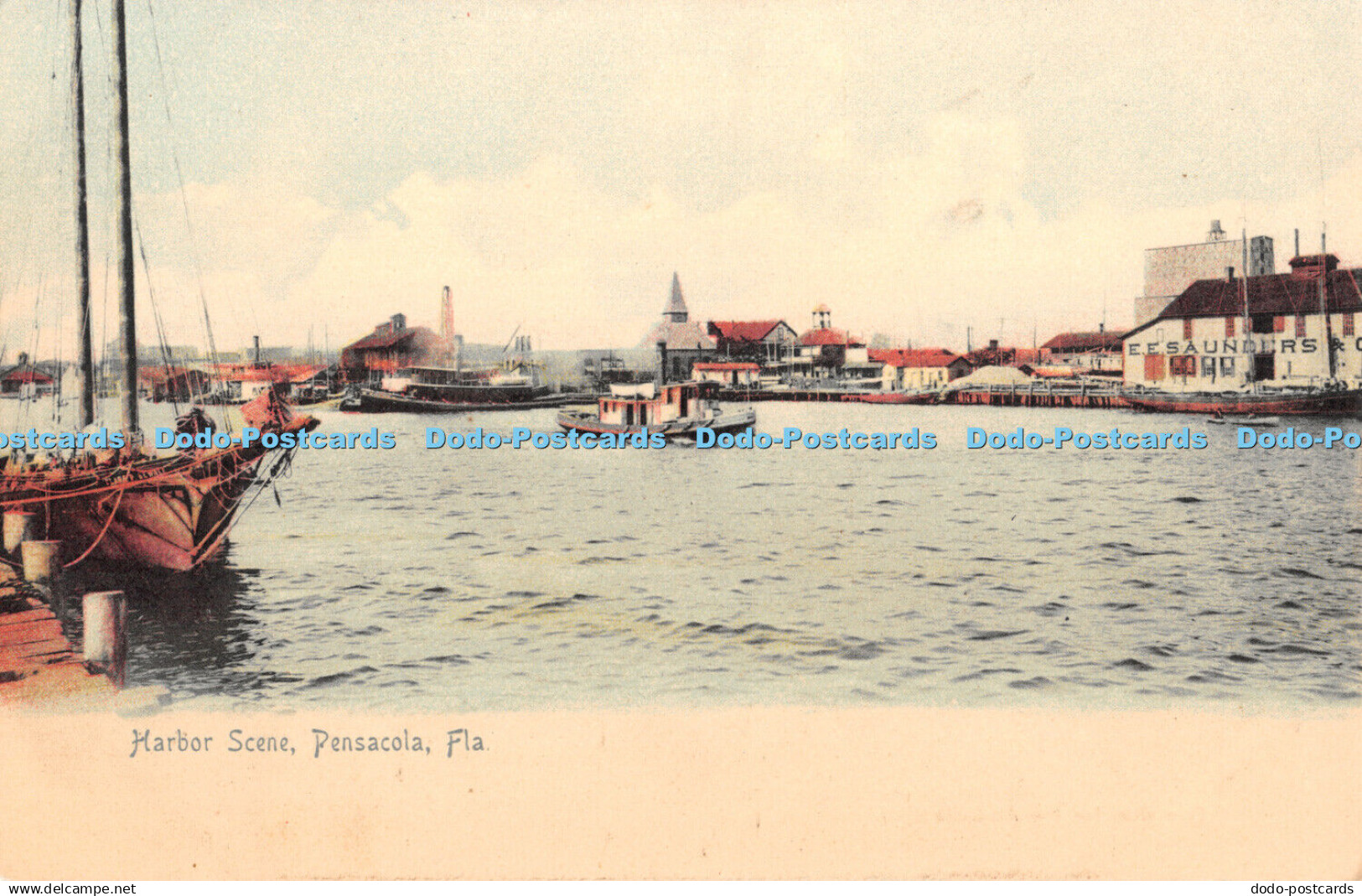 R387248 Fla Pensacola Harbor Scene The Rotograph Co
