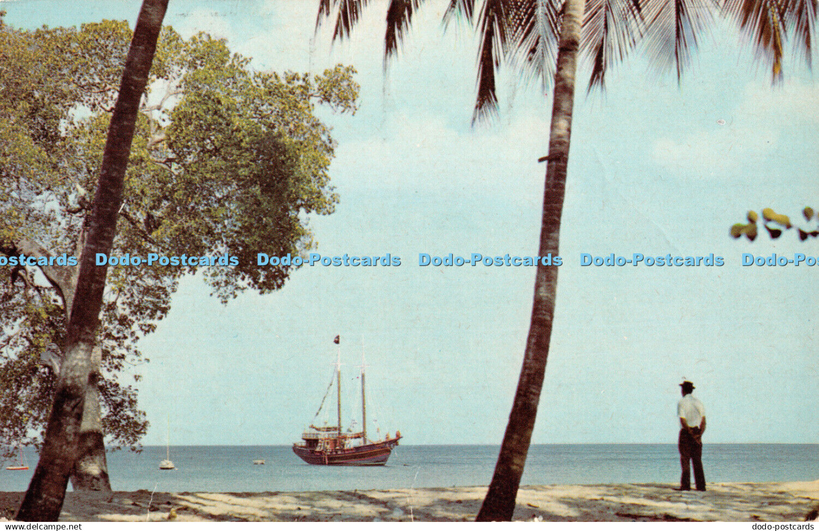 R410538 Barbados West Indies One of Barbados chartered pleasure yachts West Coas