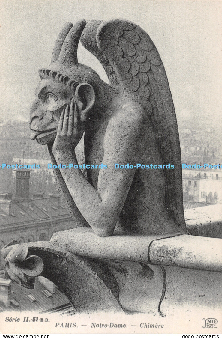 R419677 Paris Notre Dame Chimere ND Phot Neurdein et Cie Serie 11 51