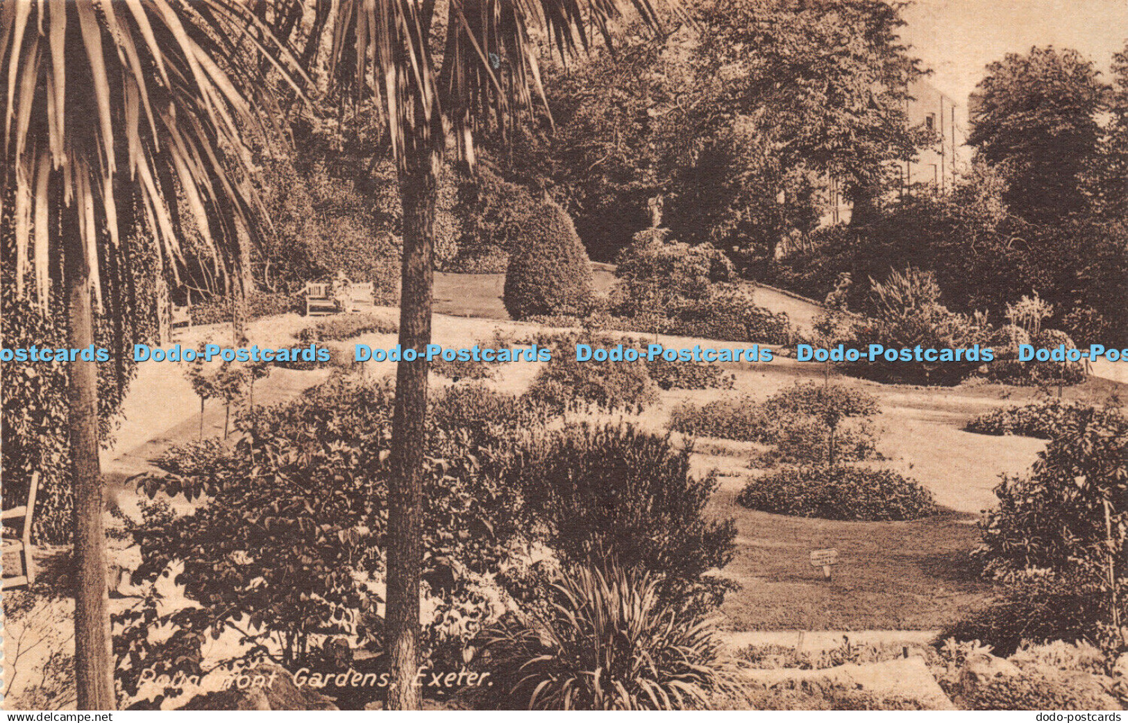 R423851 Exeter Rougemont Gardens Postcard