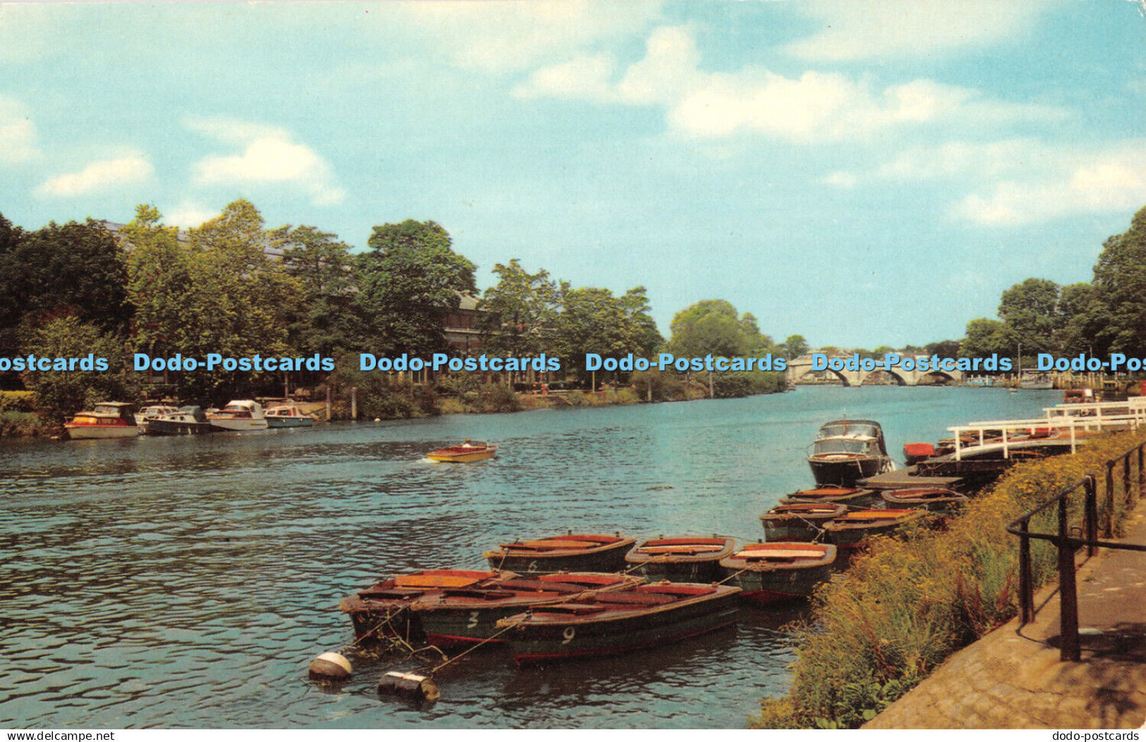 R429543 River Thames and Richmond Bridge PT5155