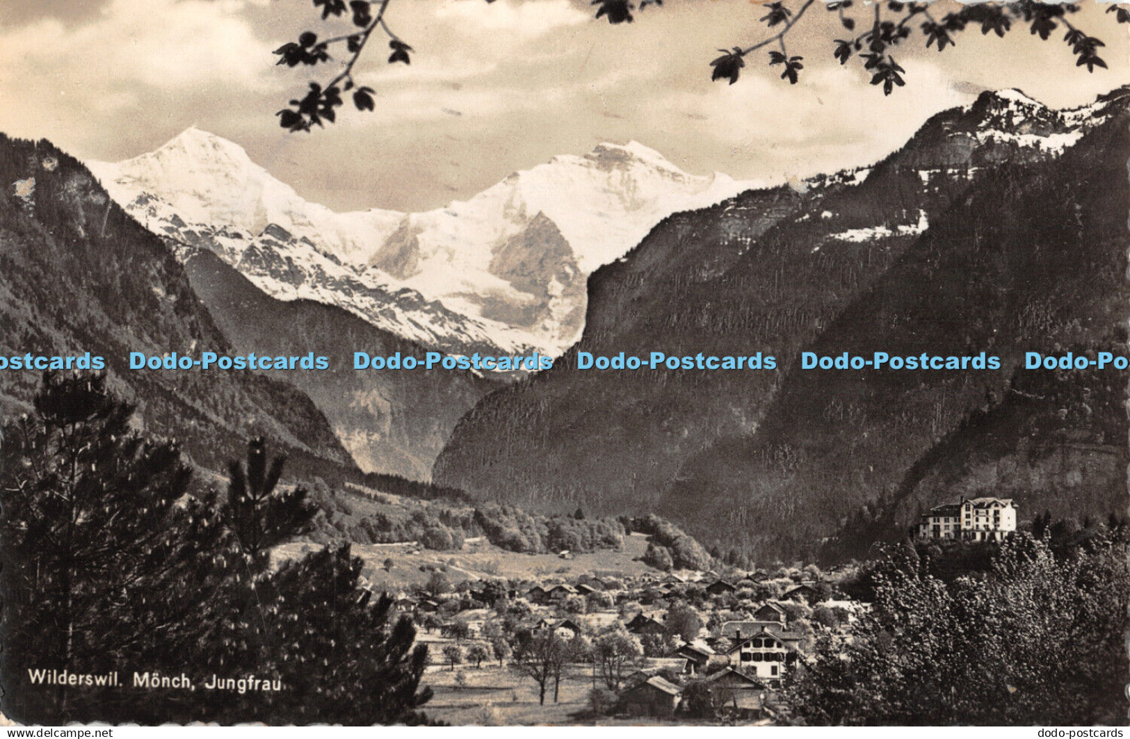R455361 Wilderswil Monch Jungfrau n 02586 Aug Schild Wilderswil 1939