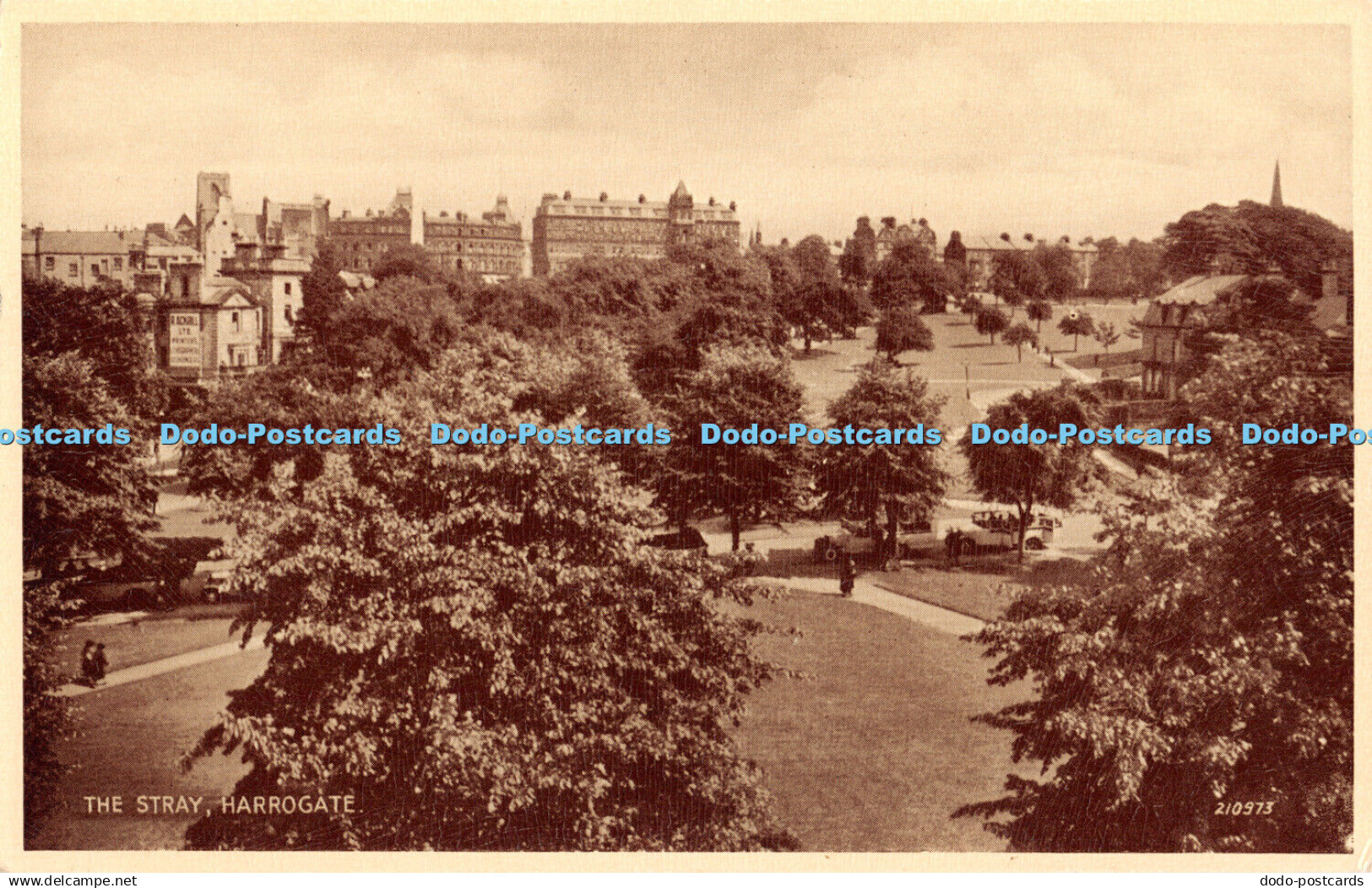 R459600 The Stray Harrogate 210973