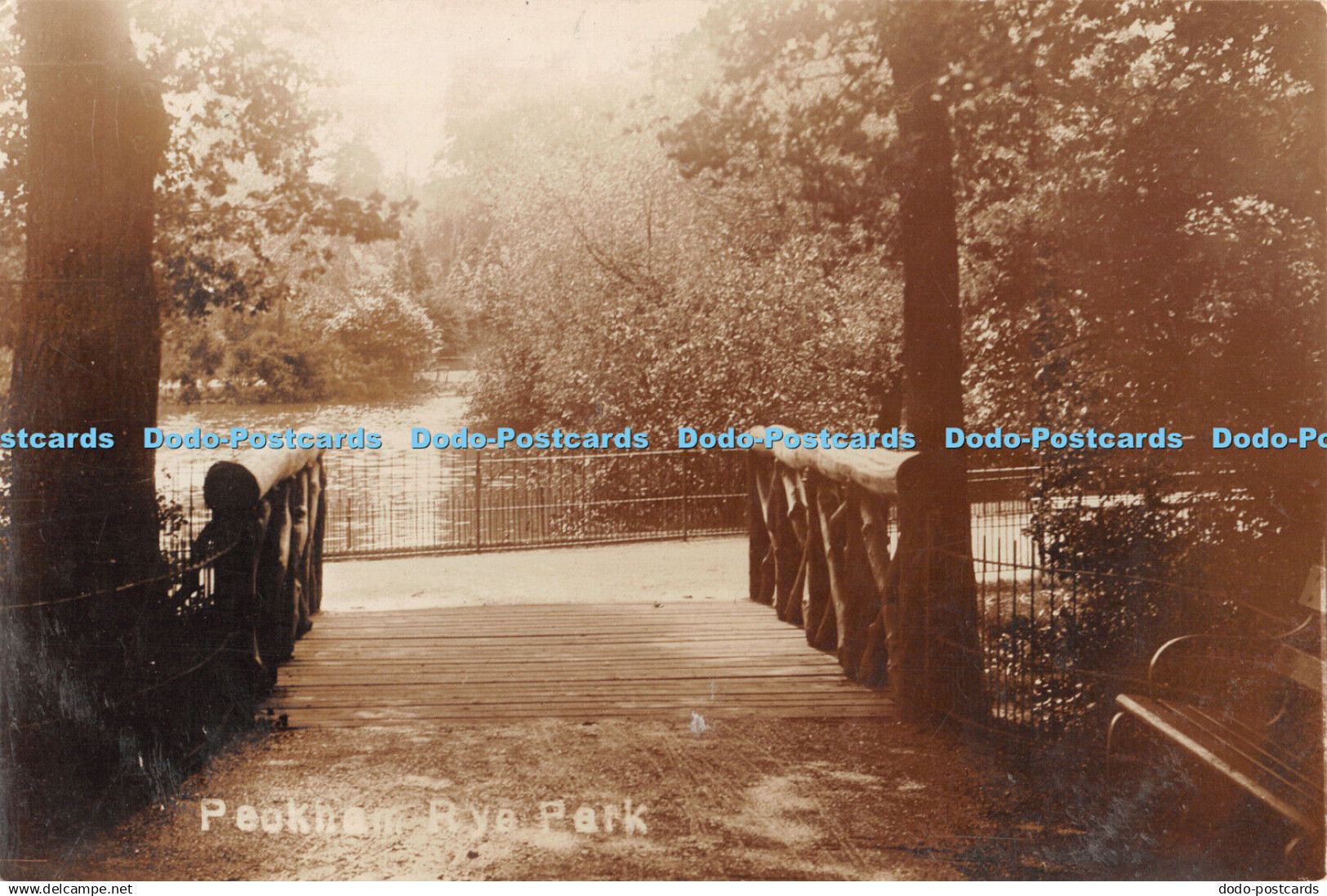 R464614 Peckham Rye Park