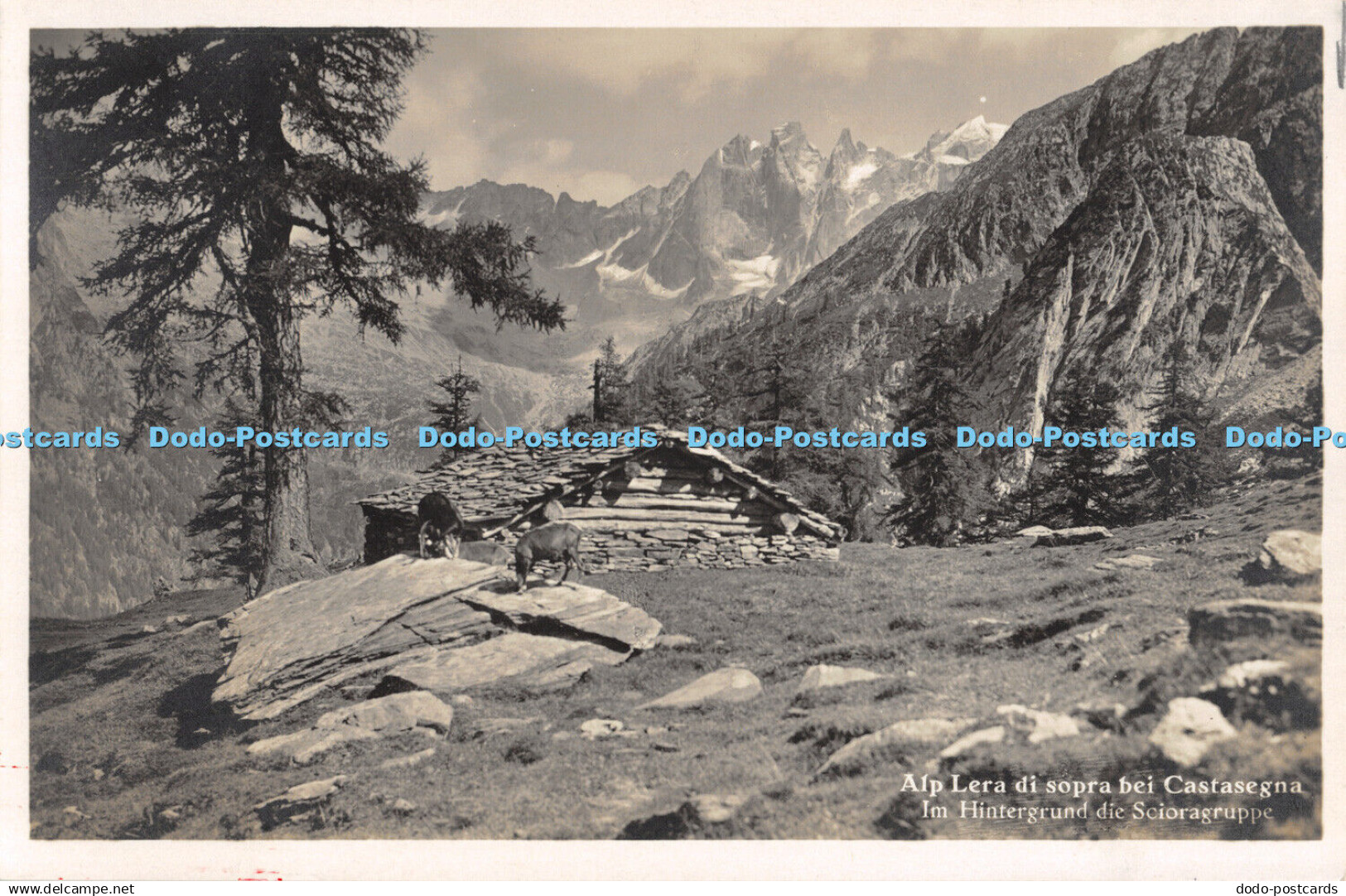 R471708 Alp Lera di sopra bei Castasegna Im Hintergrund die Scioragruppe P Clava