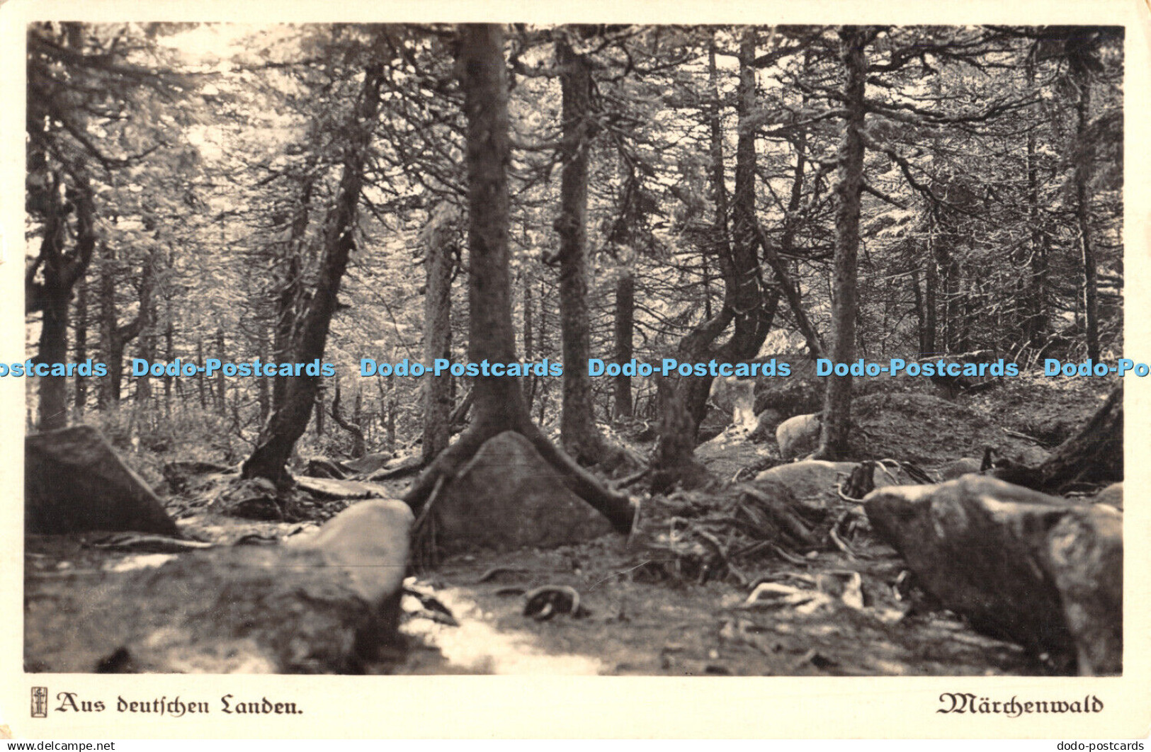 R473376 Aus Deutschen Landen Marchenwald Carl Friedrich Fangmeier No 210