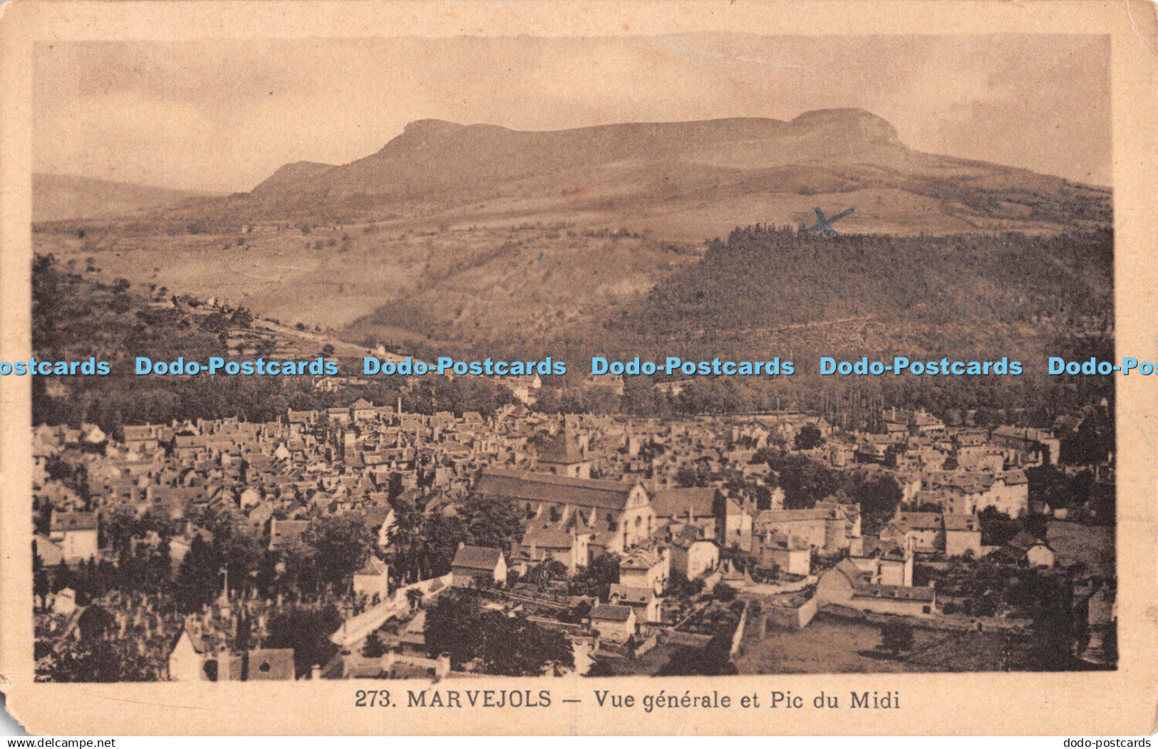 R491872 Marvejols Vue Generale et Pic du Midi