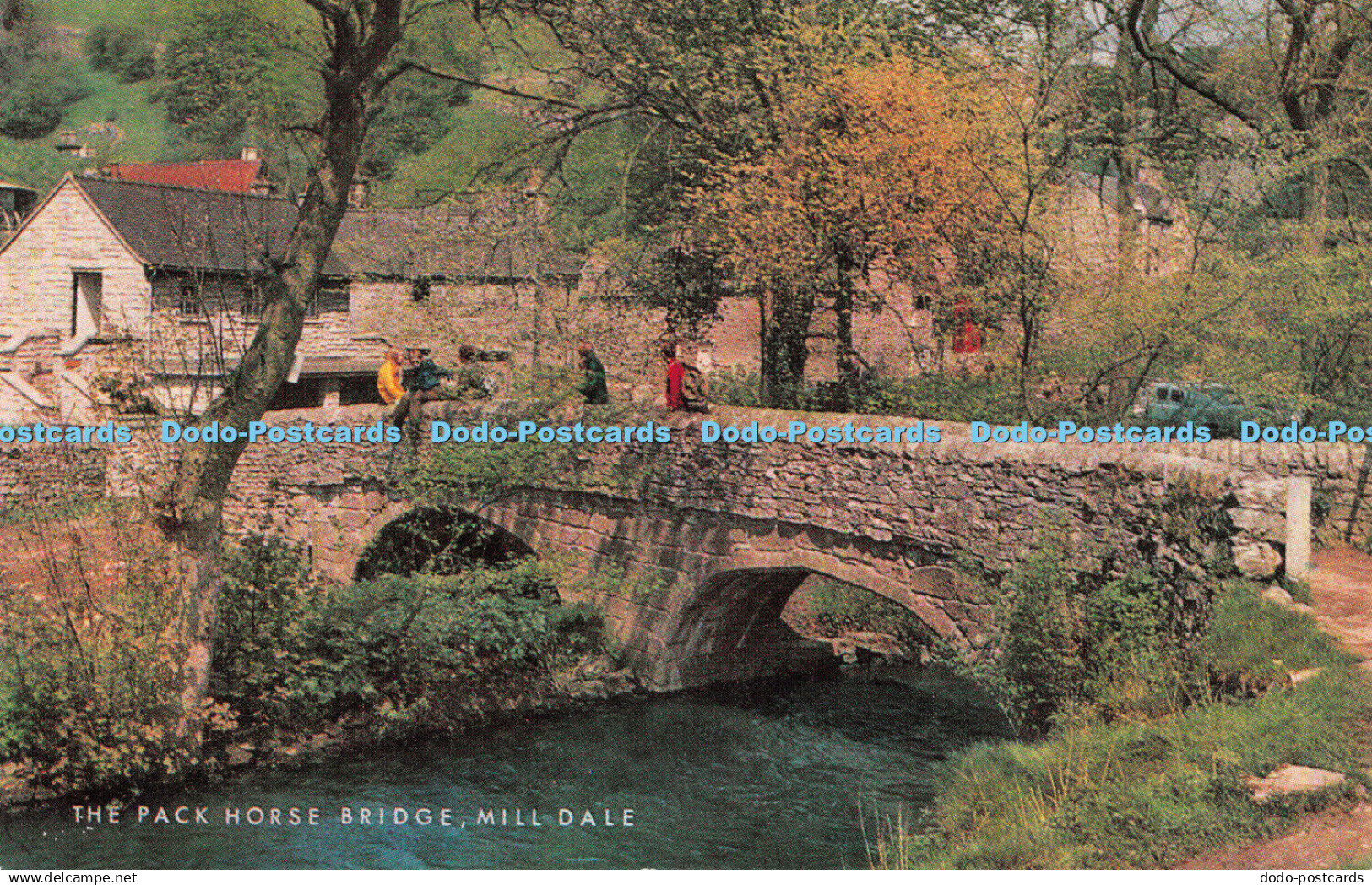 R493262 The Pack Horse Bridge Mill Dale Salmon