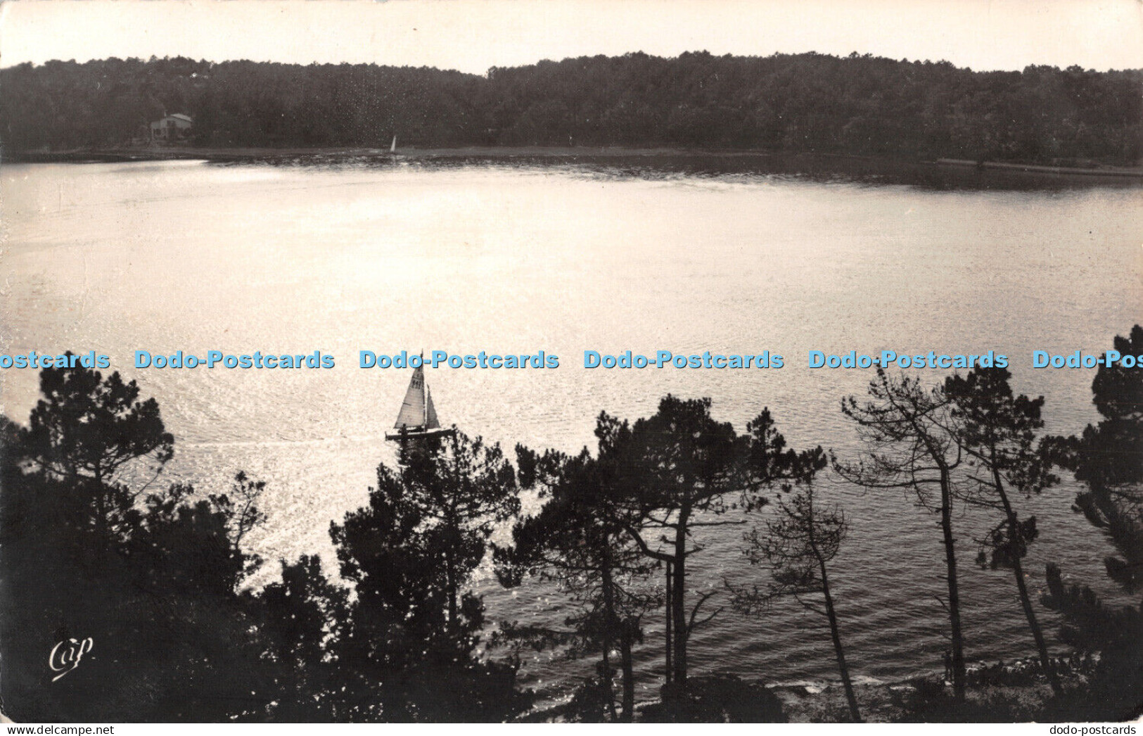 R506911 C A P 785 Hossegor Le Lac vu de Super Hossegor RP