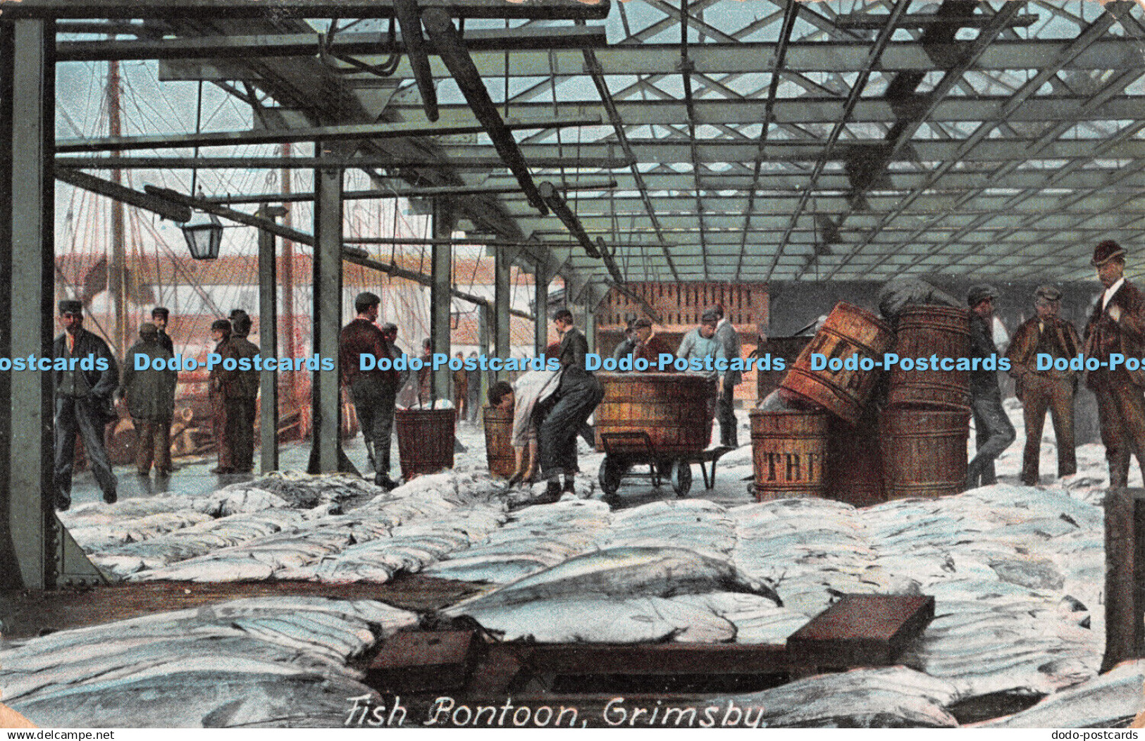 R513684 Grimsby Fish Pontoon Jay em Jay Gy Series 1907