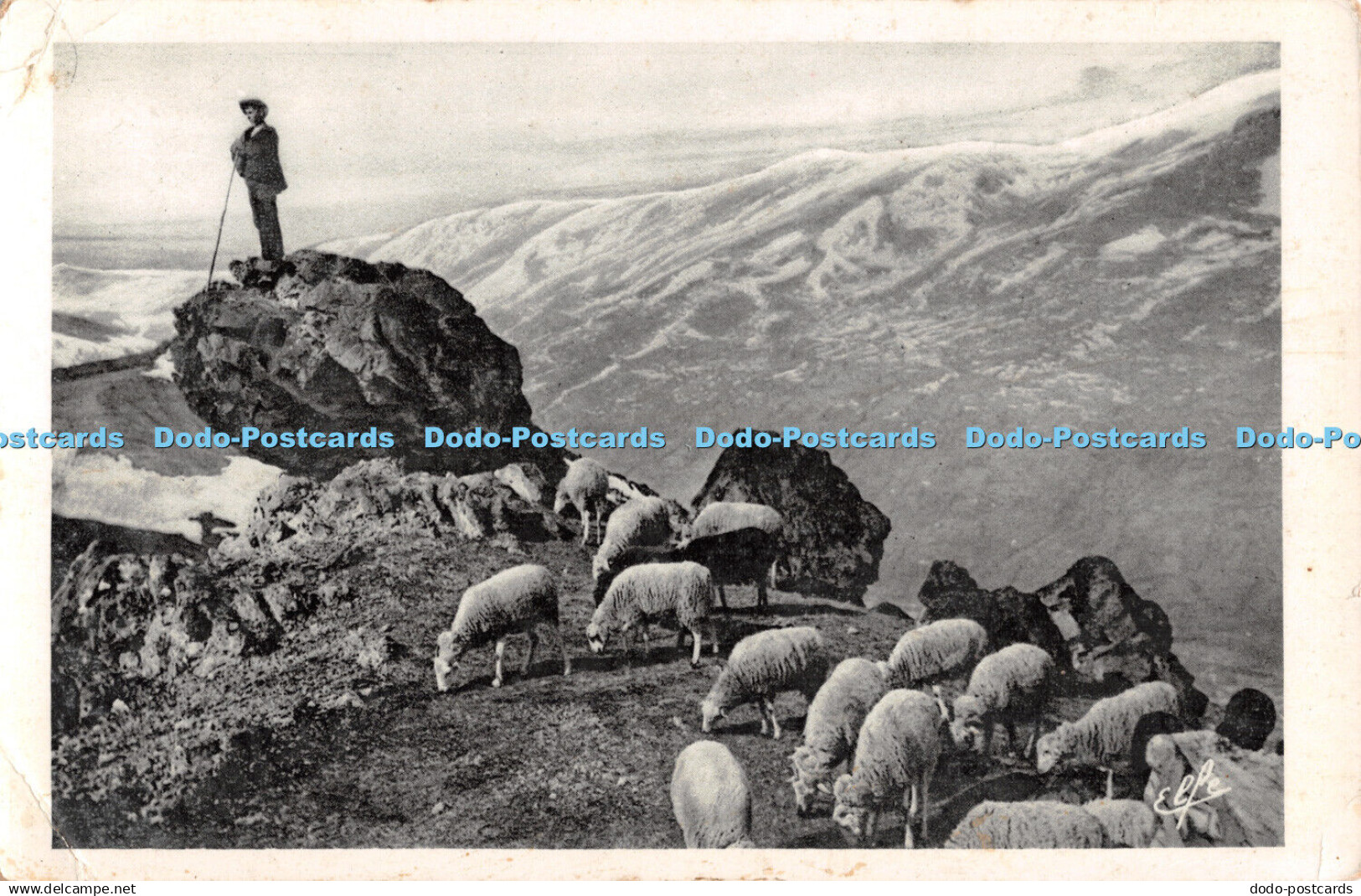 R513989 Tableaux Pyrenees Lion du Monde Labouche Freres
