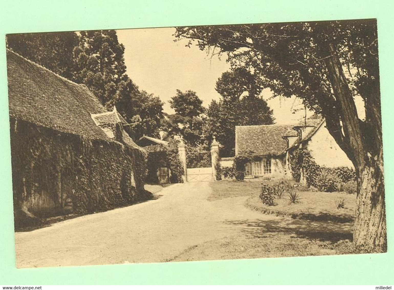 R569 - MASSAY - Le Verdeau
